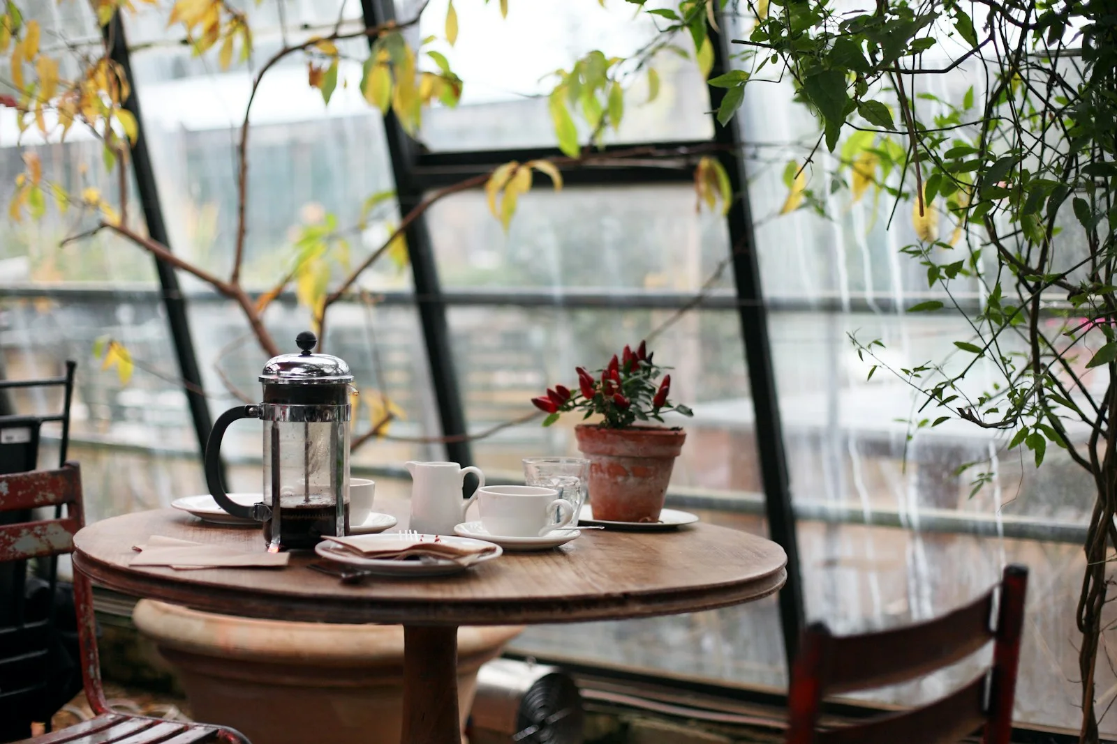 Coffee and a French press on a cafe table beside plants.
