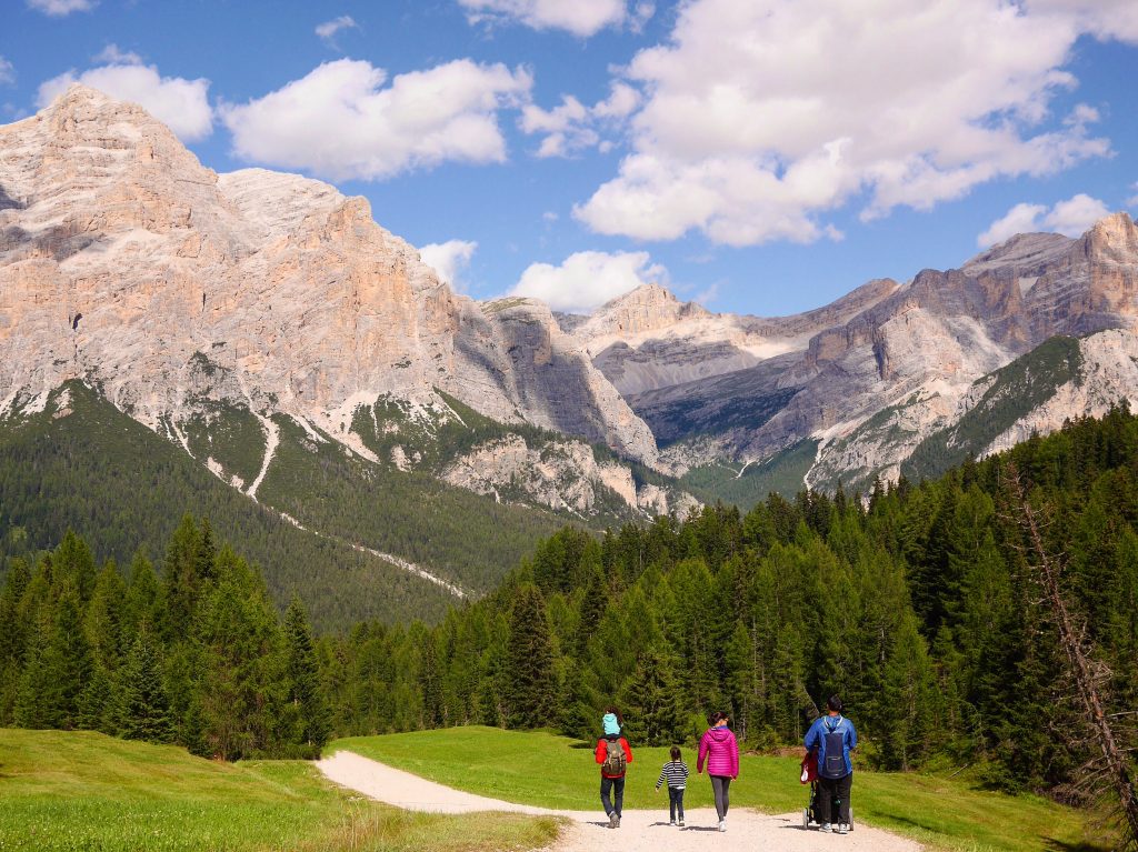 family of 4 walking towards the mountains along gravel path surrounded by tall green trees