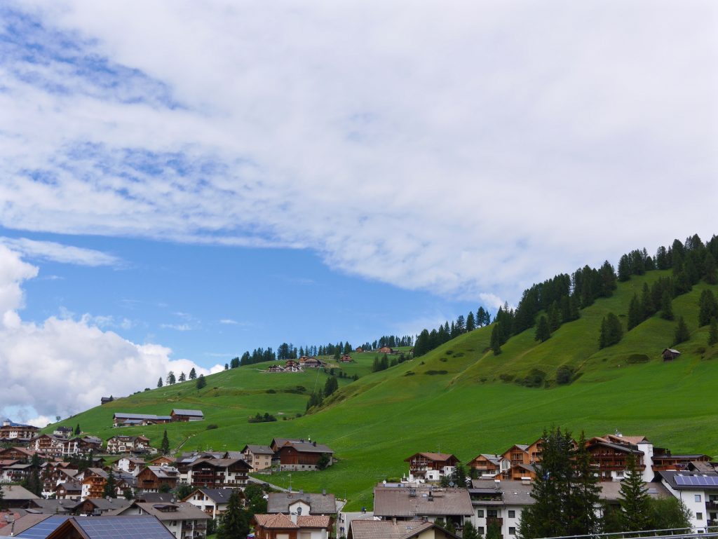 view from the valley and small village looking up to green grass and pine trees