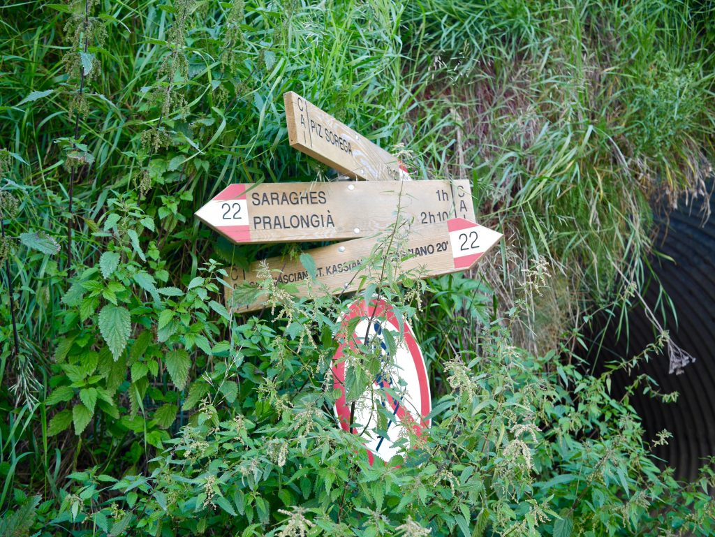 wooden sign covered with greenery with directions to pin Sorega, Saraghes and pralongia