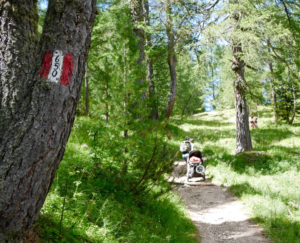 family pulling a push chair up the mountain top surrounded by trees and grass