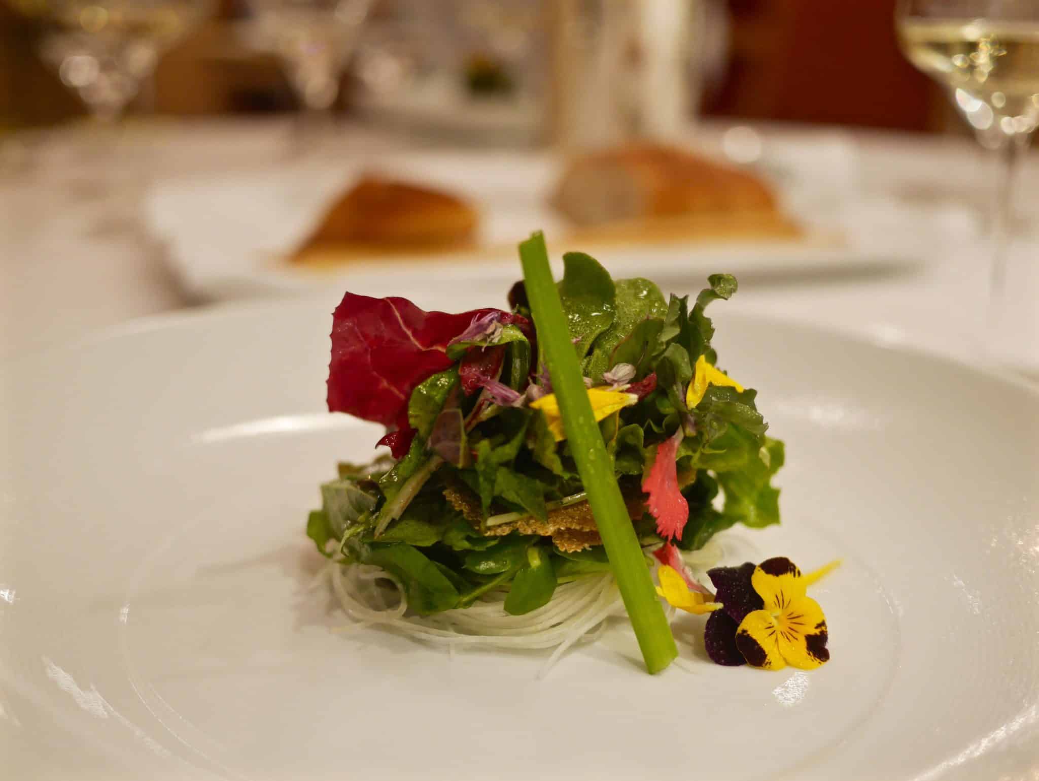 dew on wild herbs salad