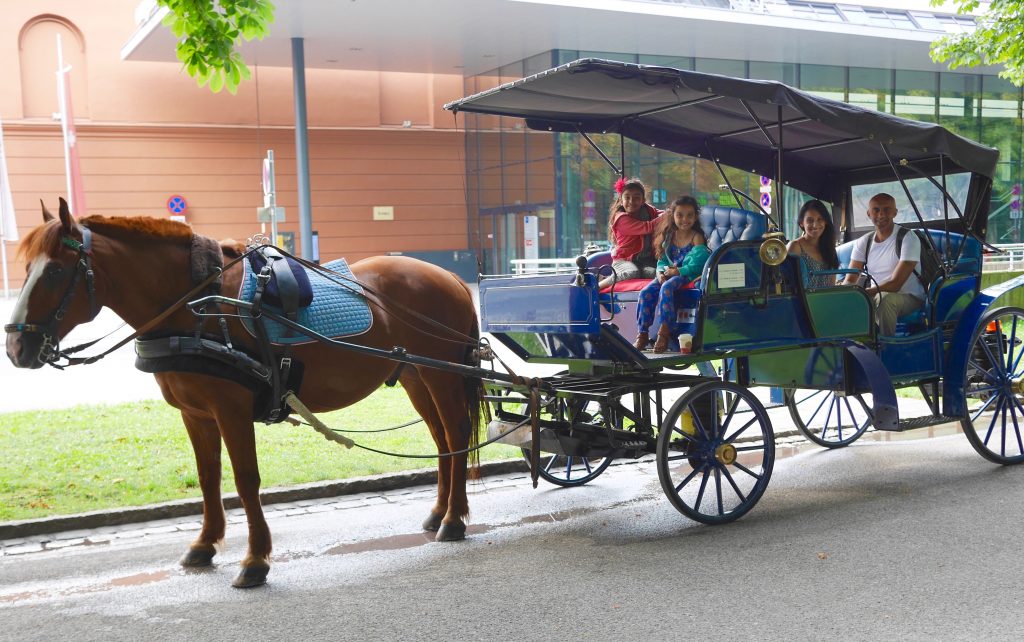 view of family in blue horse and cart going around austria with kids
