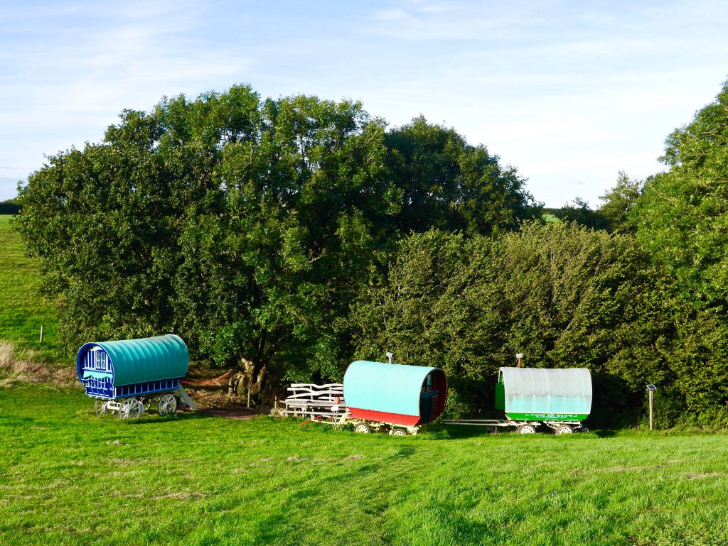 Glamping in Devon | Fisherton Farm's The Vintage Vardos