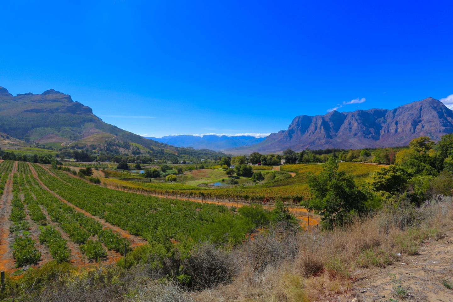 10 reasons why Cape Town stole my heart & things to do in Cape Town | things to do in Cape Town
