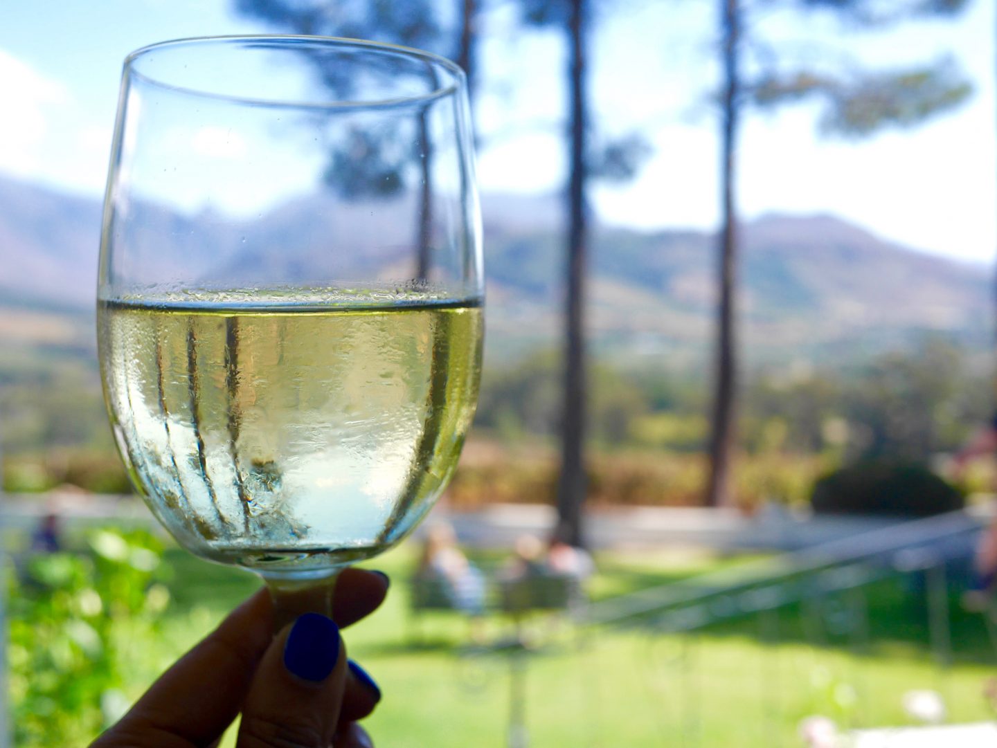 sima holding a glass of wine from the Cape Winelands with a mountain in the background