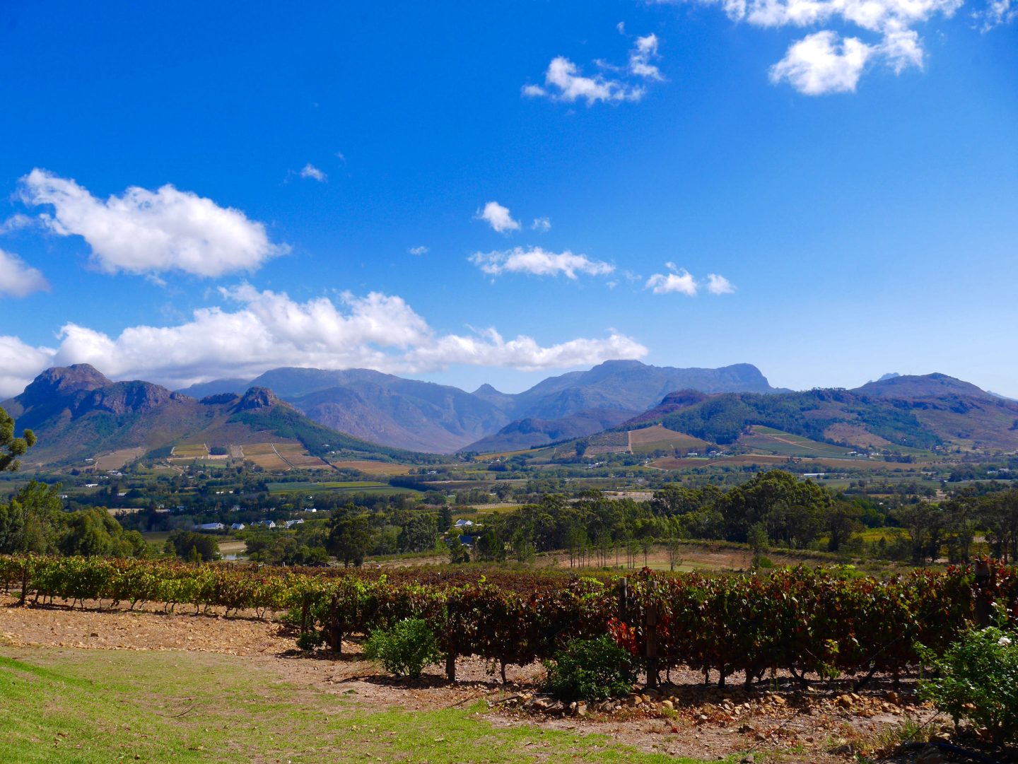 South Africa: Exploring the Cape Winelands with kids