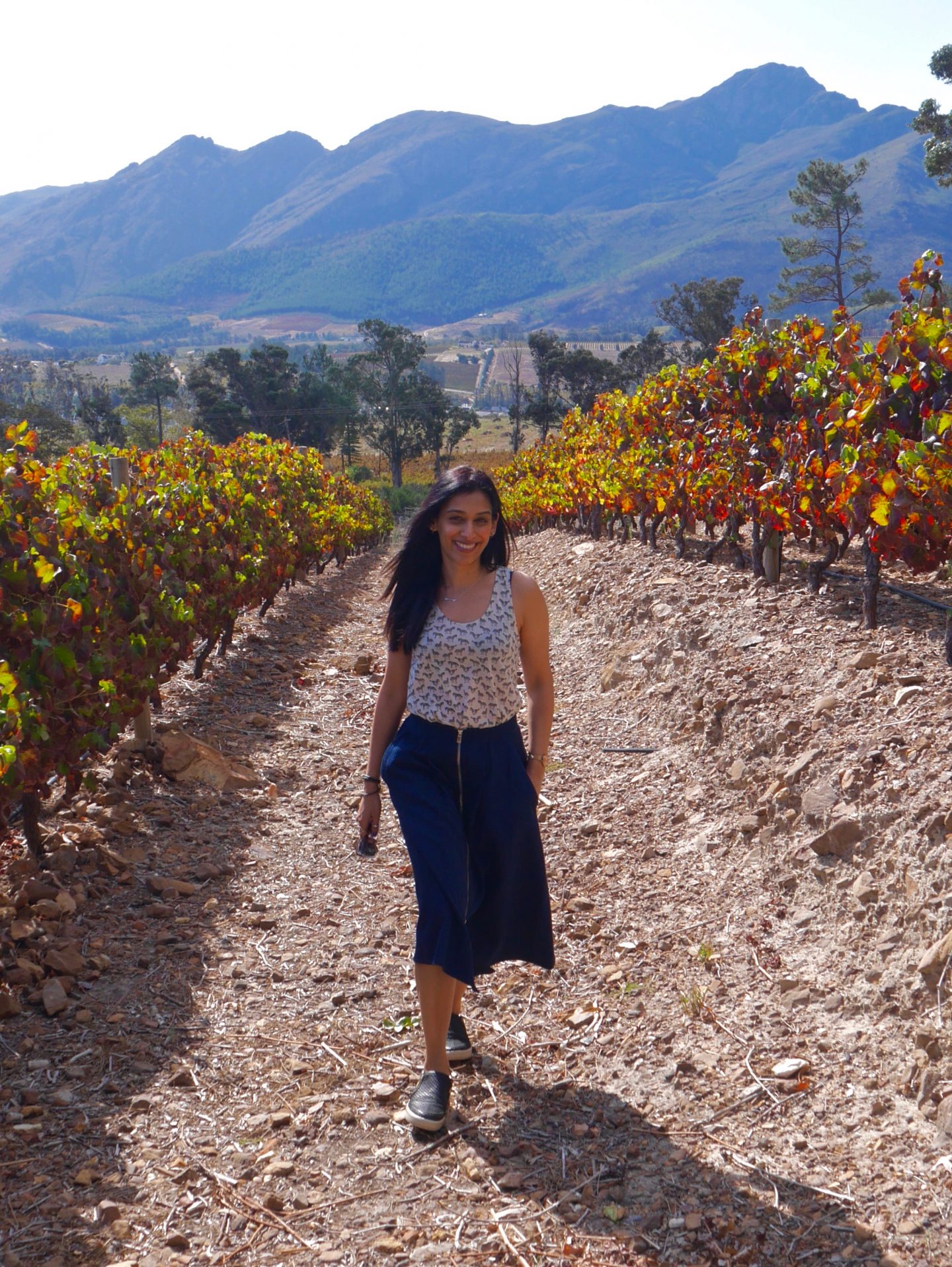 South Africa: Lunch in Franschhoek at La Petite Ferme