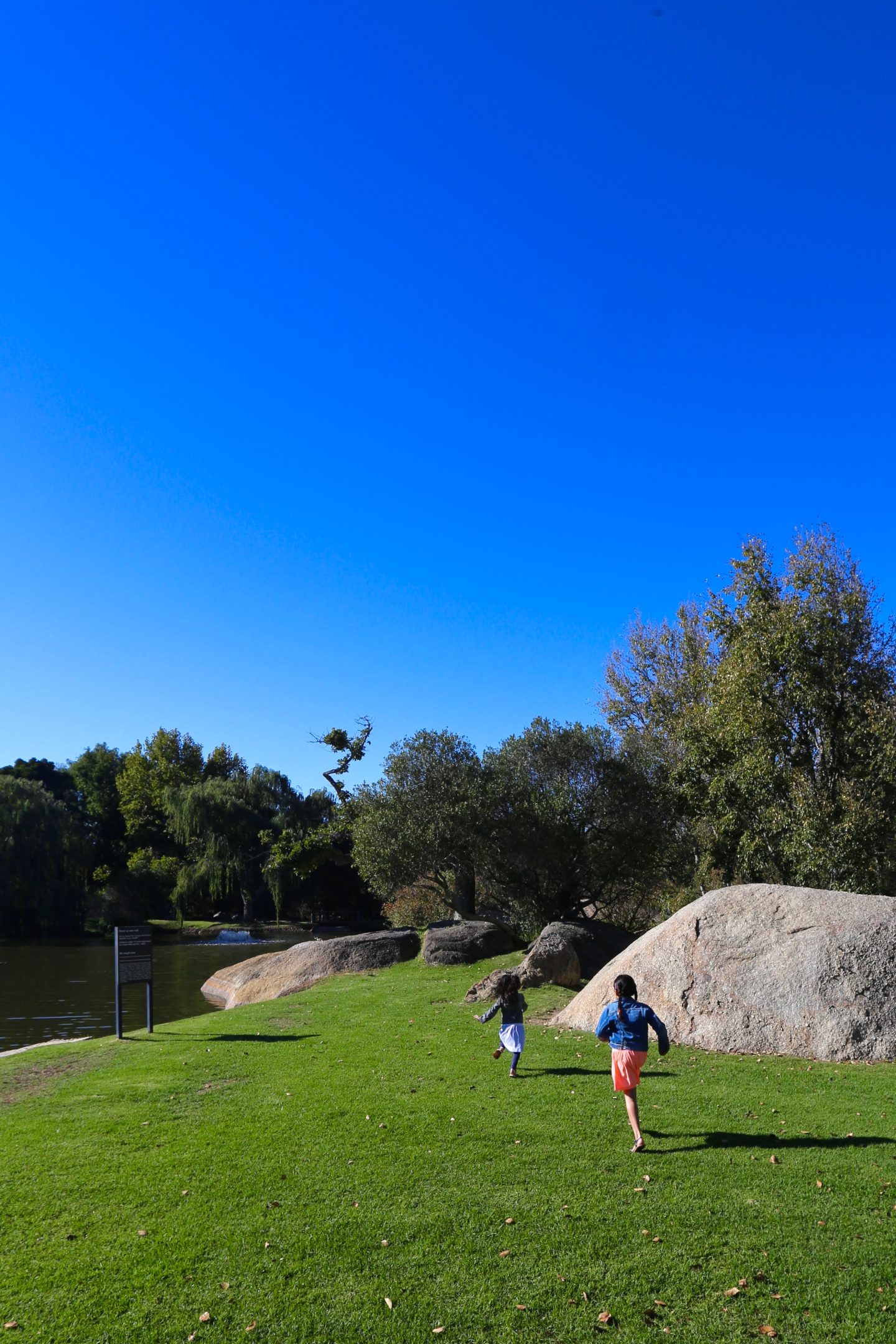 South Africa: Exploring the Cape Winelands with kids
