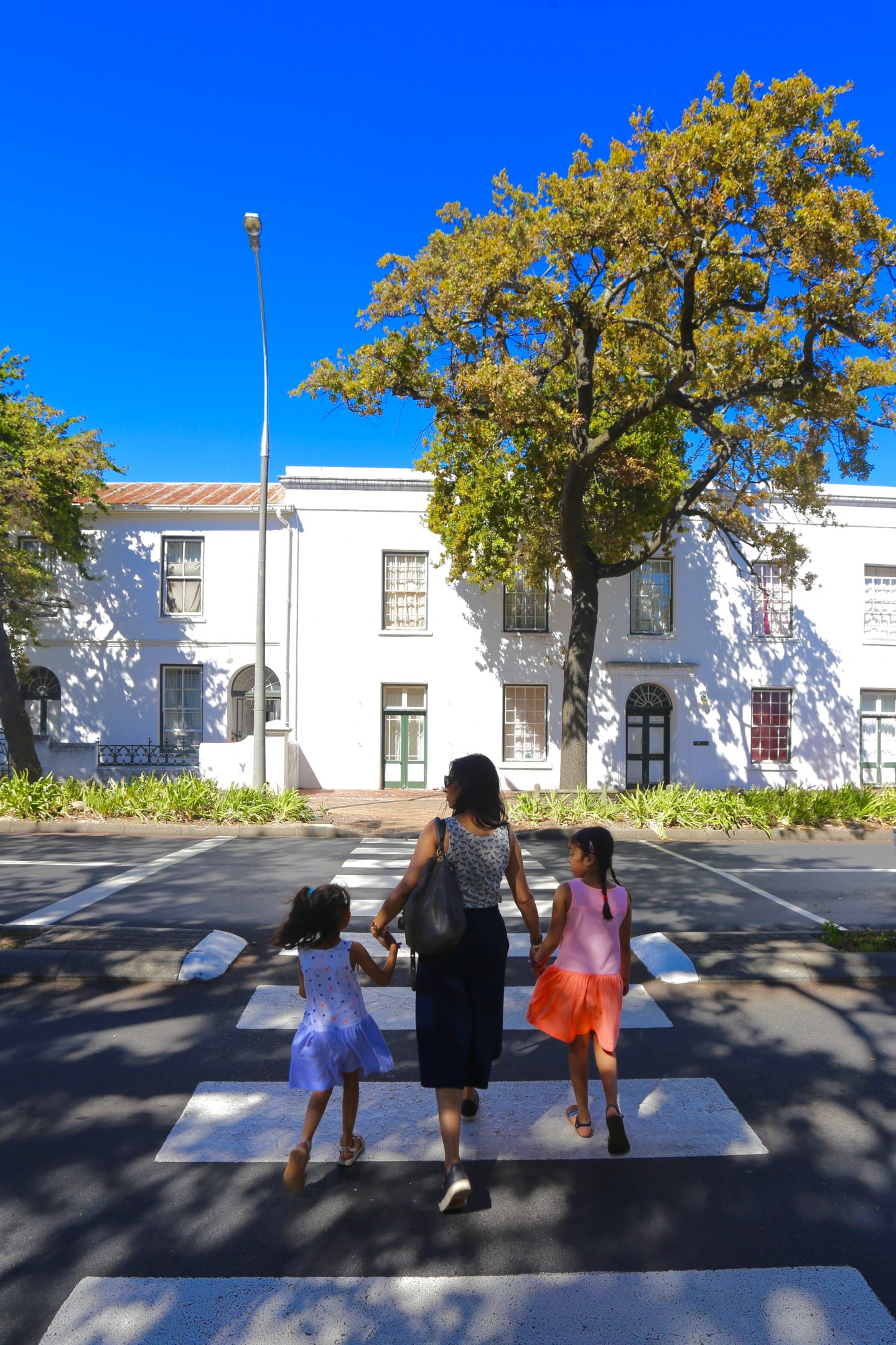 South Africa: Exploring the Cape Winelands with kids