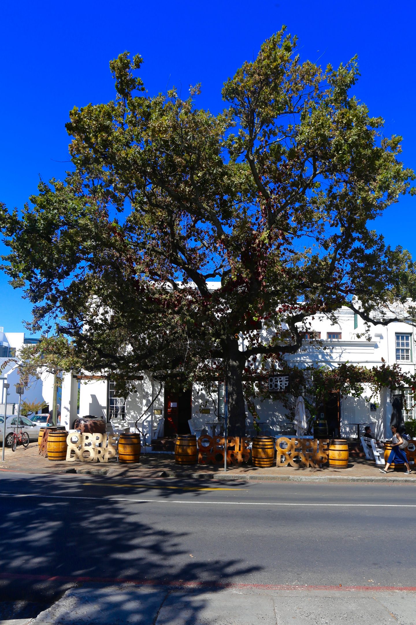 South Africa: Exploring the Cape Winelands with kids