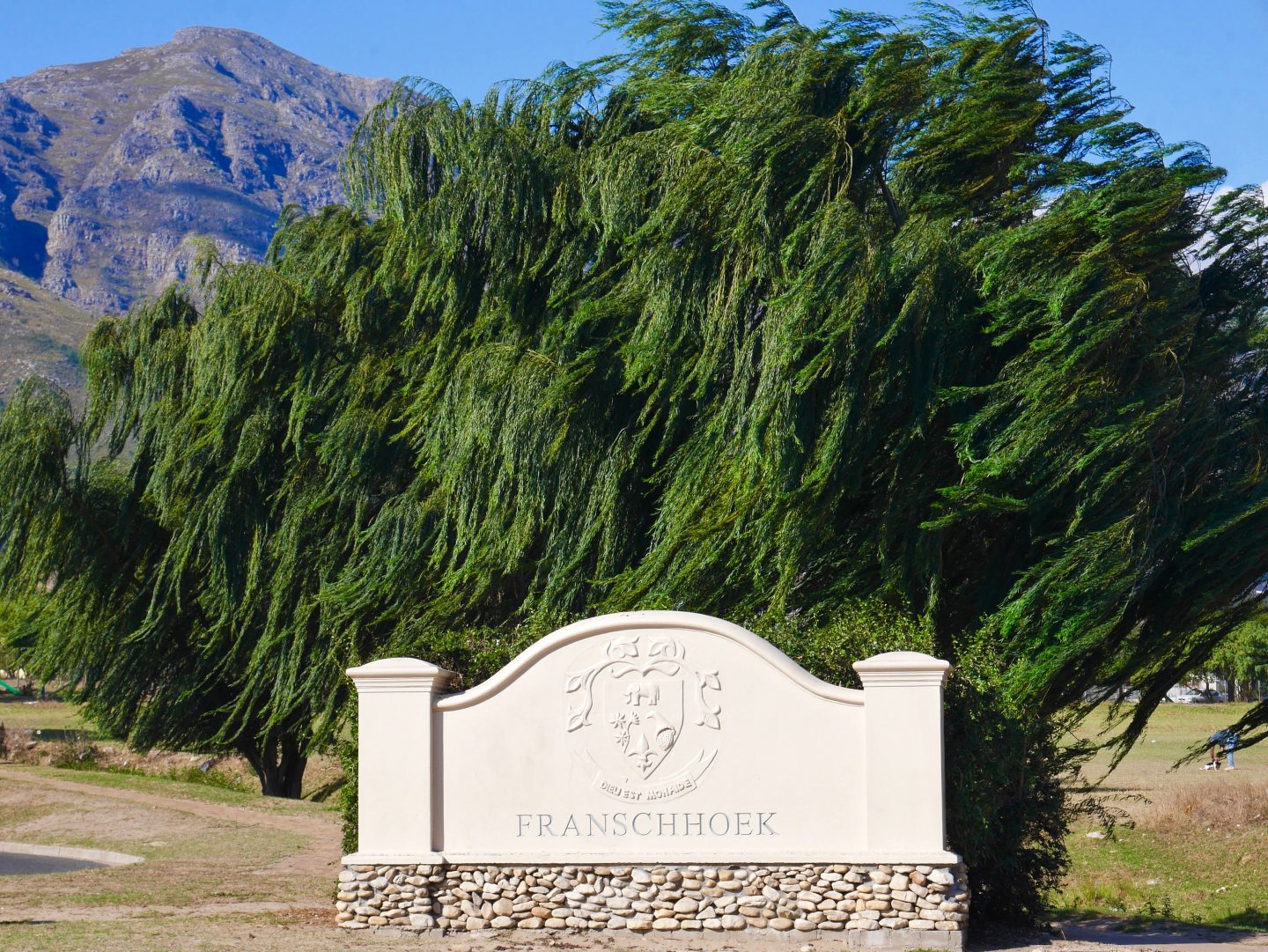 South Africa: Exploring the Cape Winelands with kids