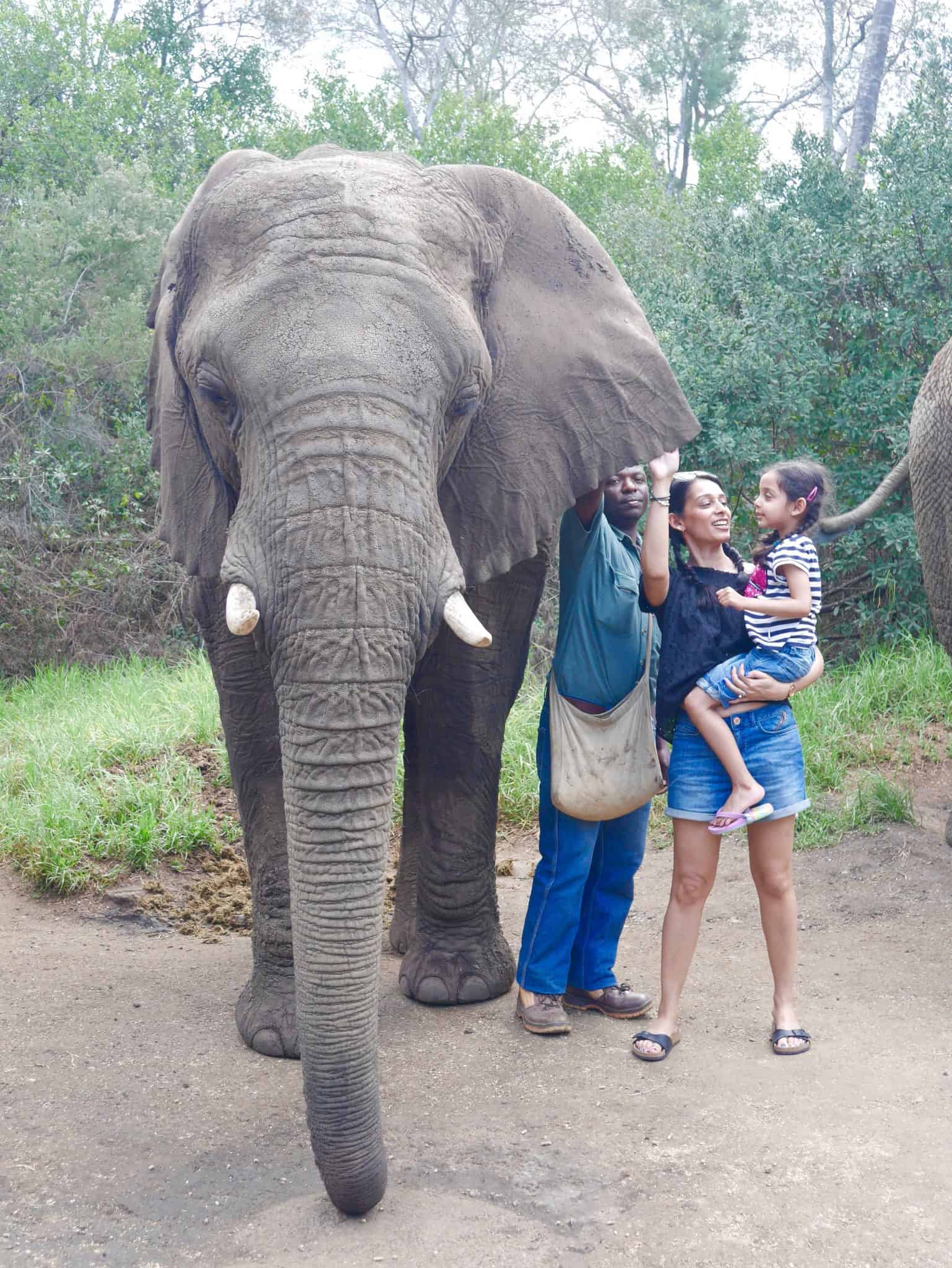 South Africa: The Elephant Sanctuary, Plettenberg Bay