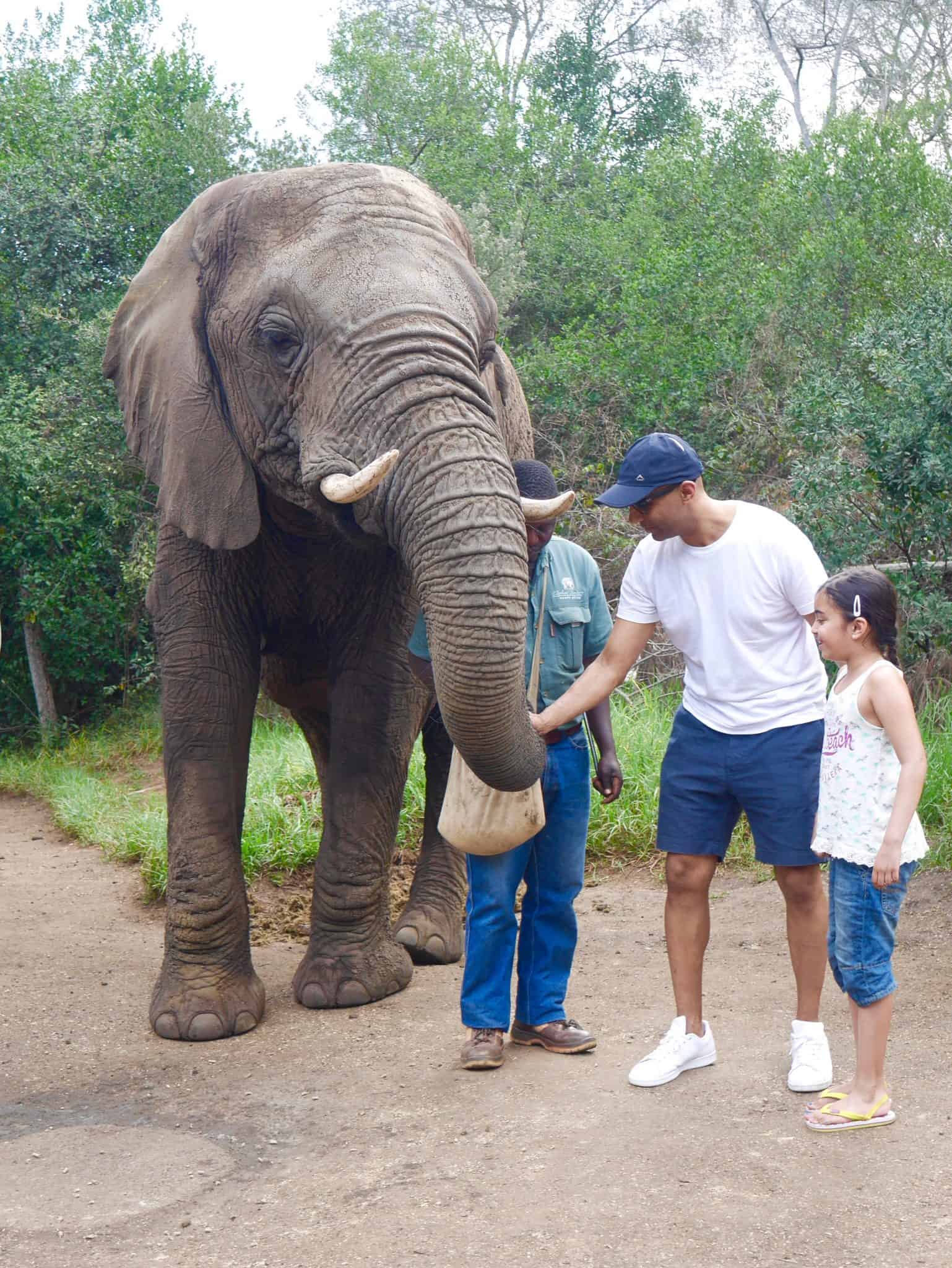 South Africa: The Elephant Sanctuary, Plettenberg Bay
