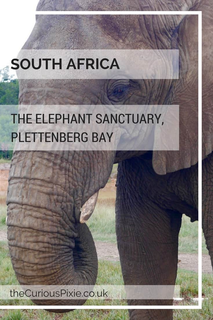 South Africa: The Elephant Sanctuary, Plettenberg Bay