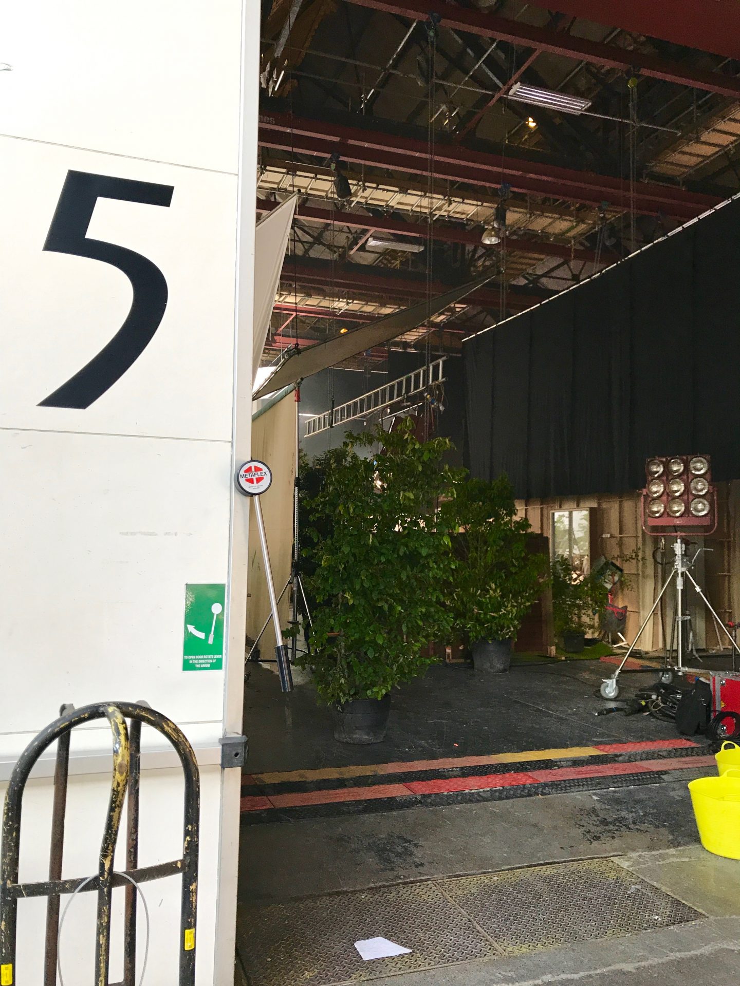 An unexpected commercial audition!  When life hands you an IKEA commercial - You roar with it!