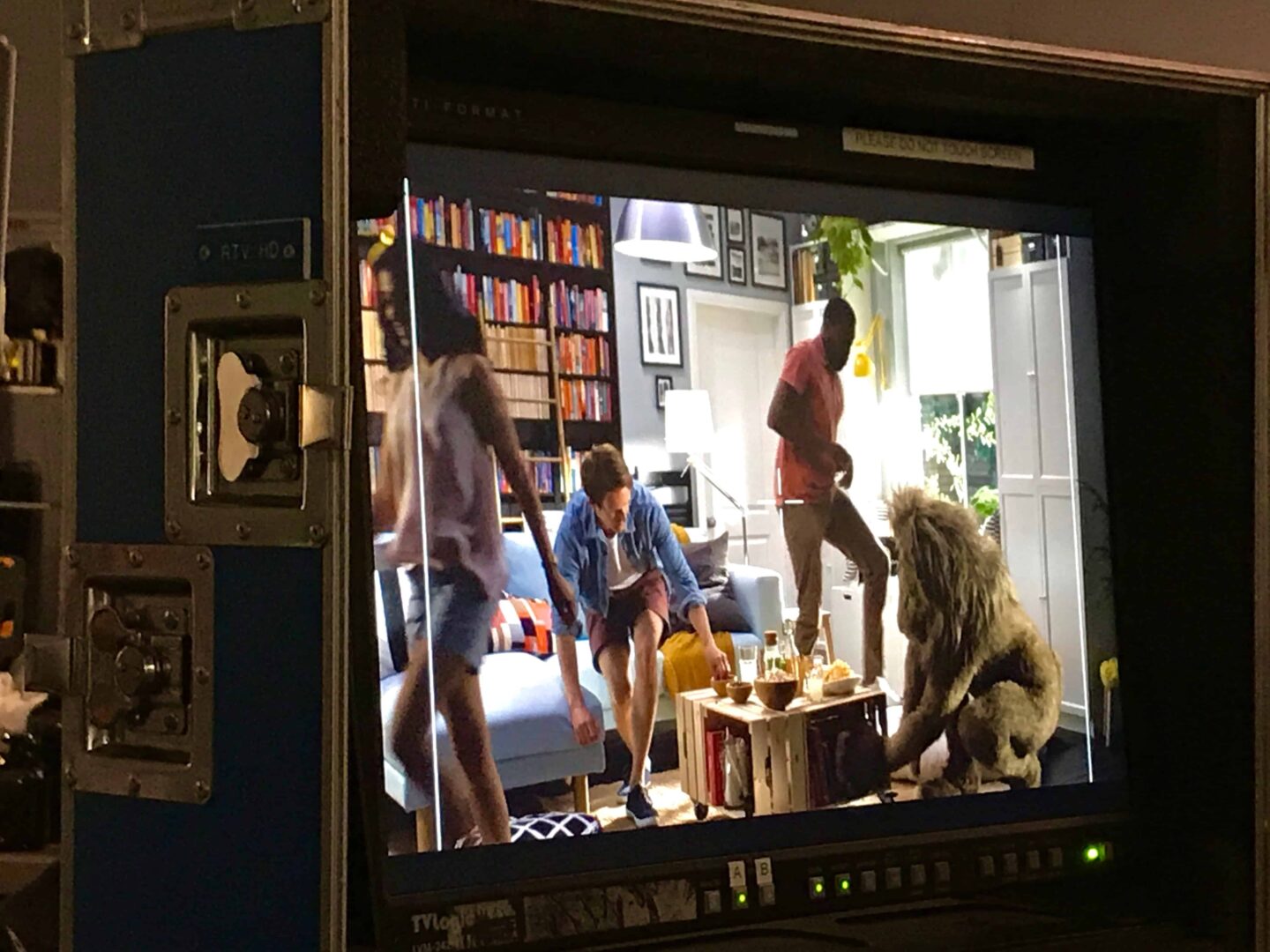 An unexpected commercial audition!  When life hands you an IKEA commercial - You roar with it!
