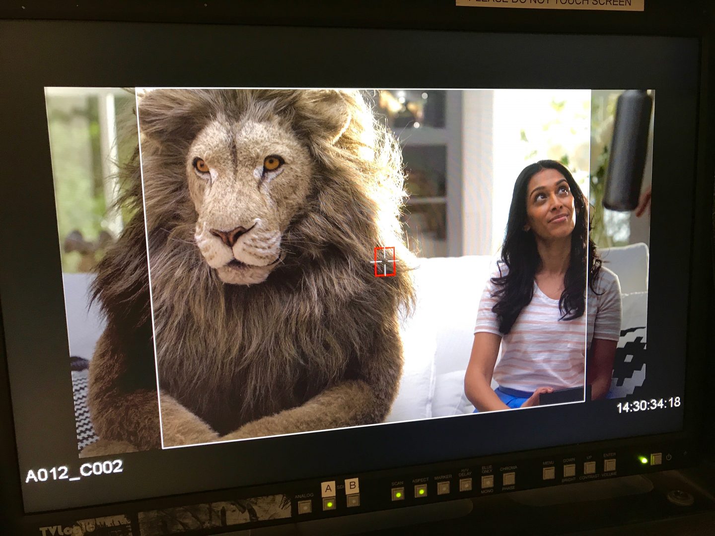 An unexpected commercial audition!  When life hands you an IKEA commercial - You roar with it!
