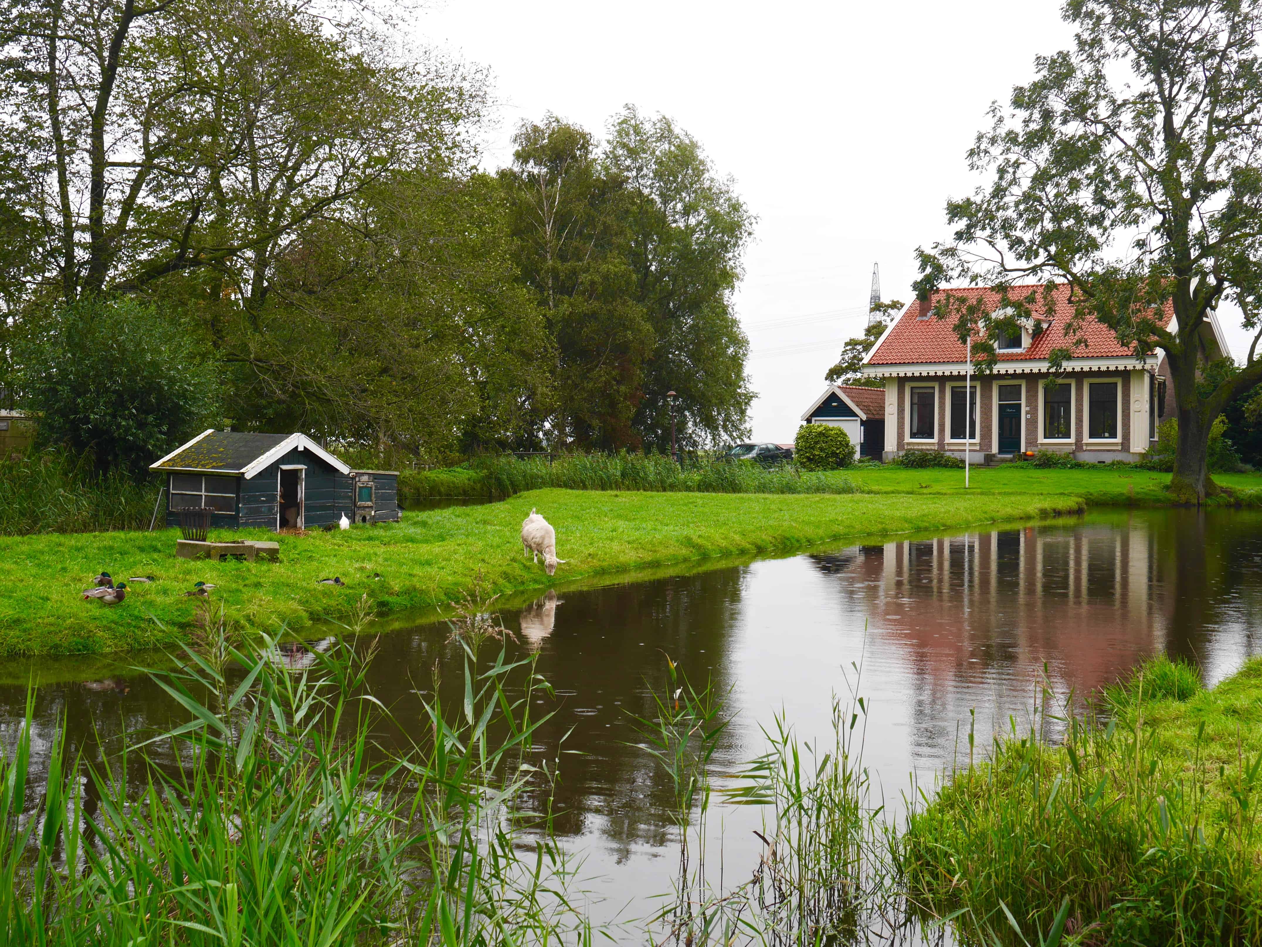 9 things you must do in Amsterdam | an Amsterdam itinerary