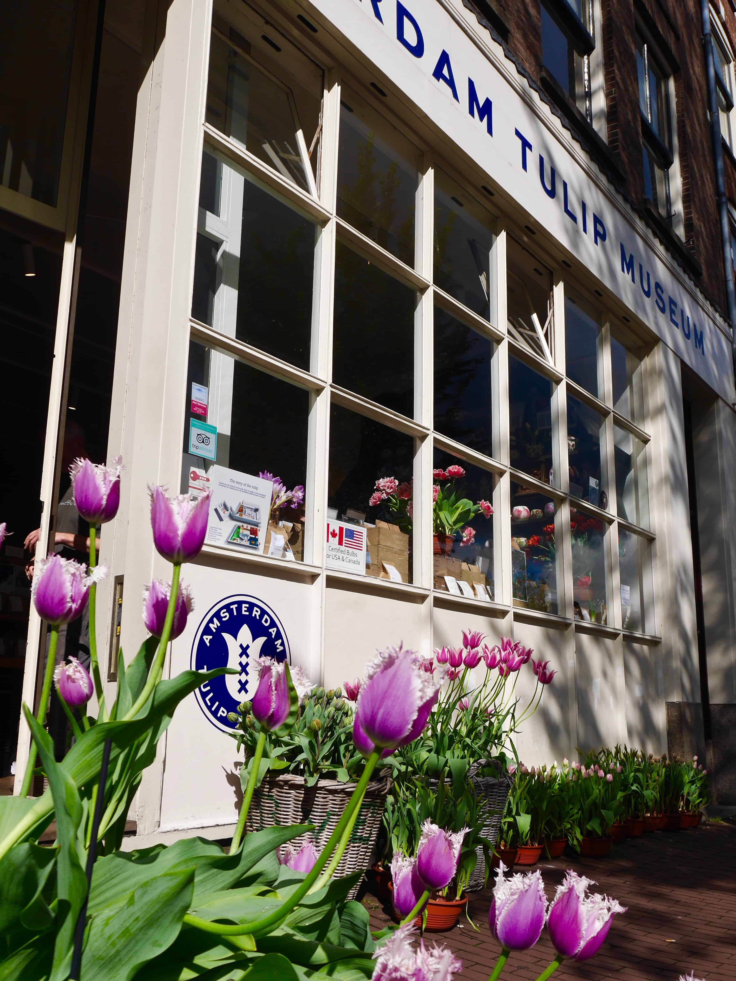 9 things you must do in Amsterdam | an Amsterdam itinerary