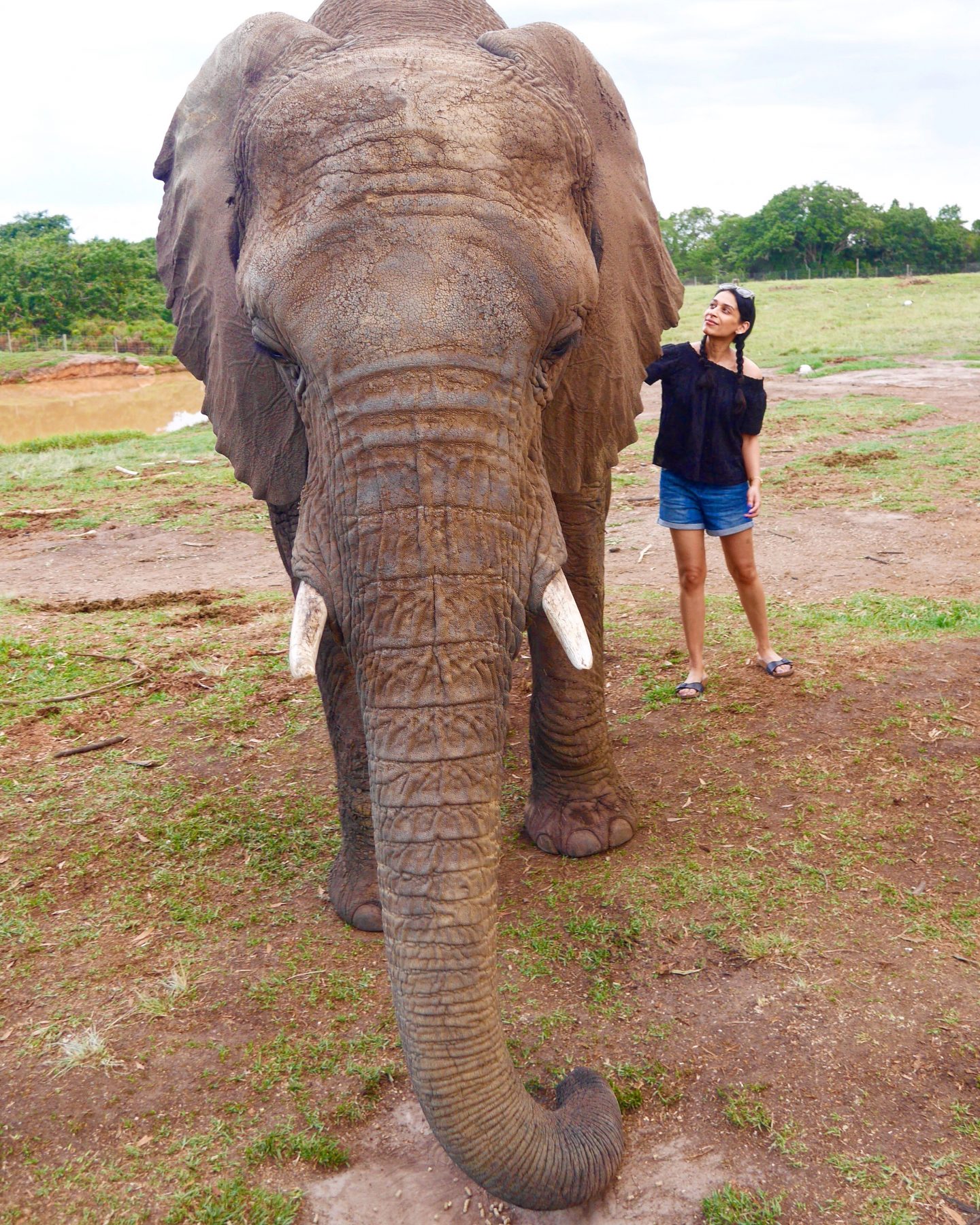Top 5 stops on the Garden Route of South Africa