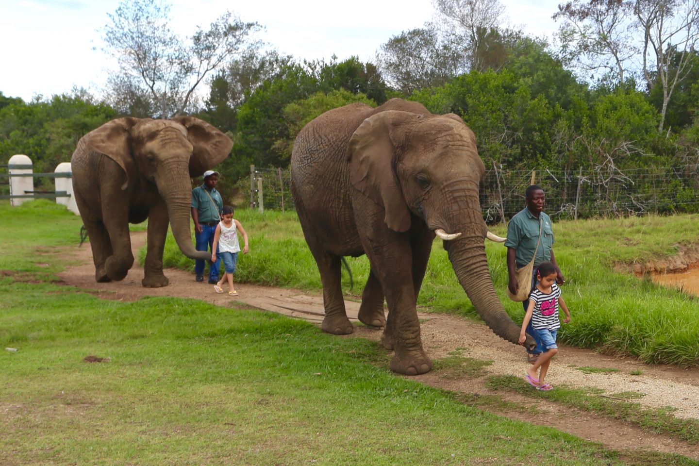 Top 5 stops on the Garden Route of South Africa