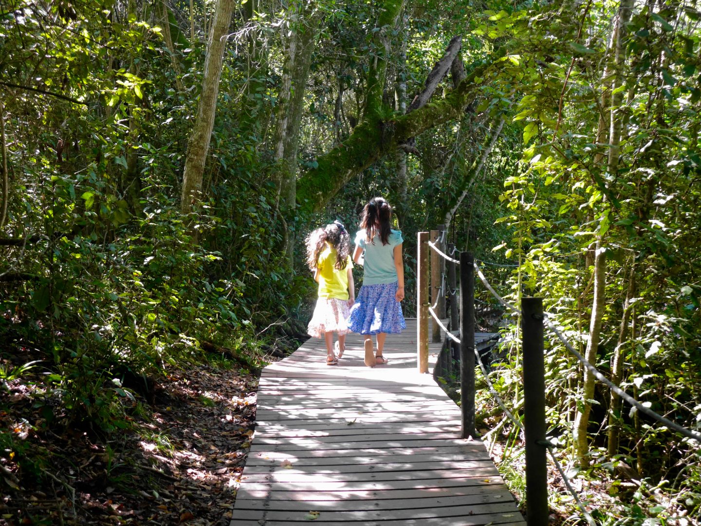 Top 5 stops on the Garden Route of South Africa