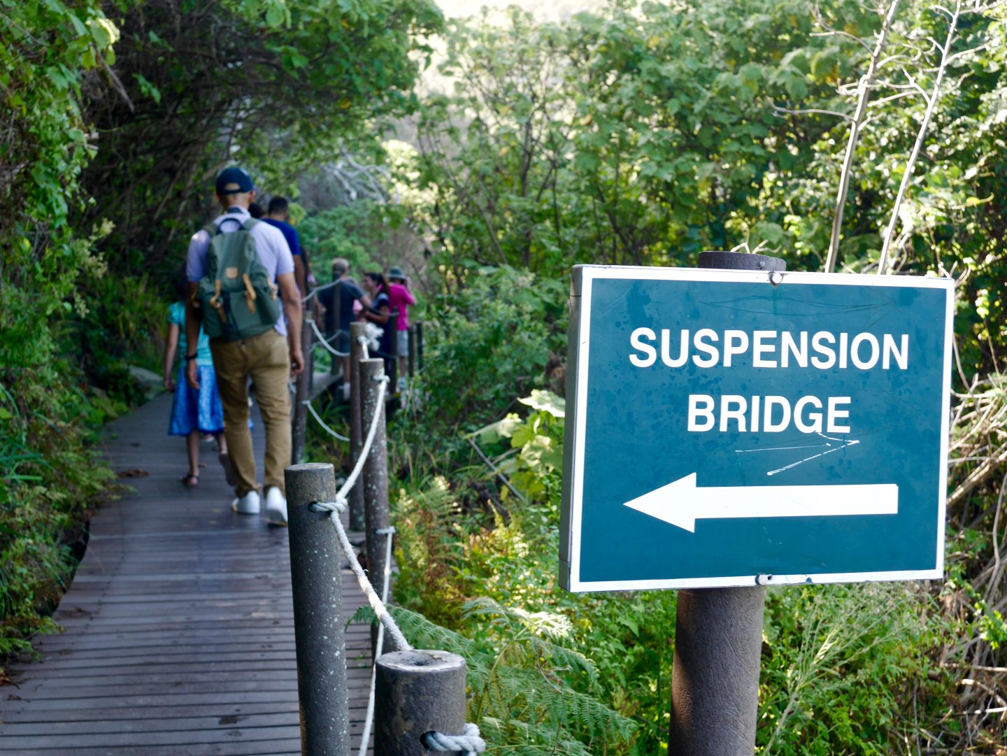 Top 5 stops on the Garden Route of South Africa