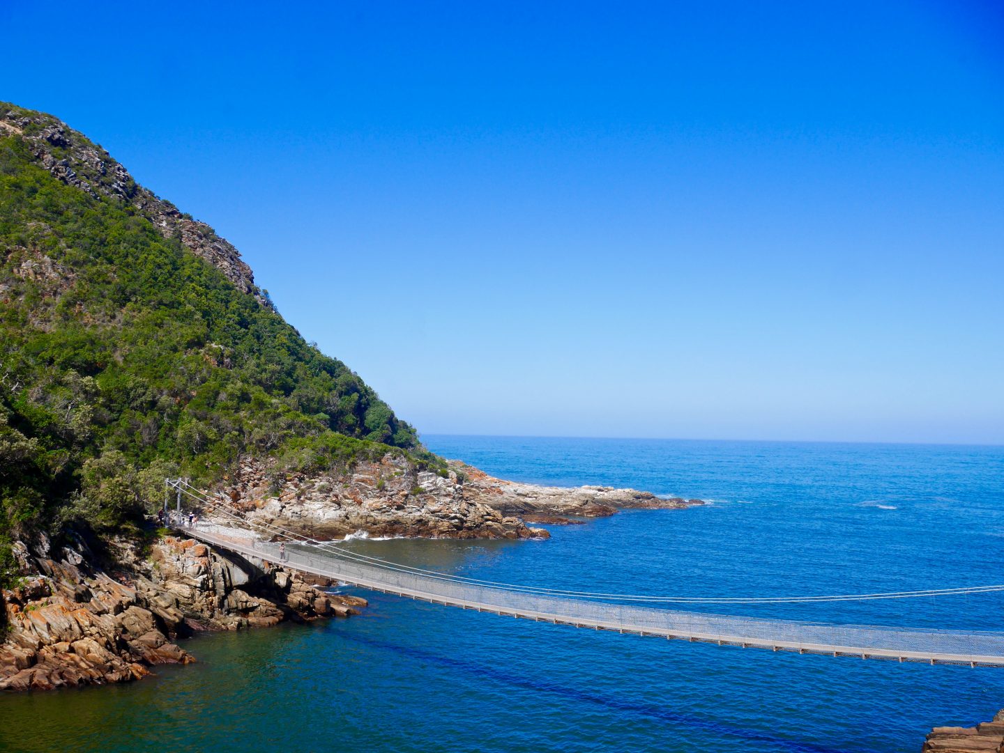 Top 5 stops on the Garden Route of South Africa