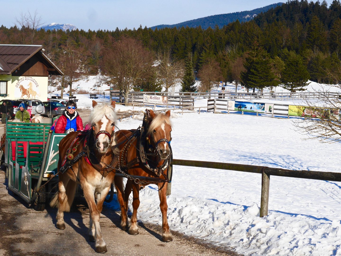Winter family break in Andalo, Trentino | Winter in Italy