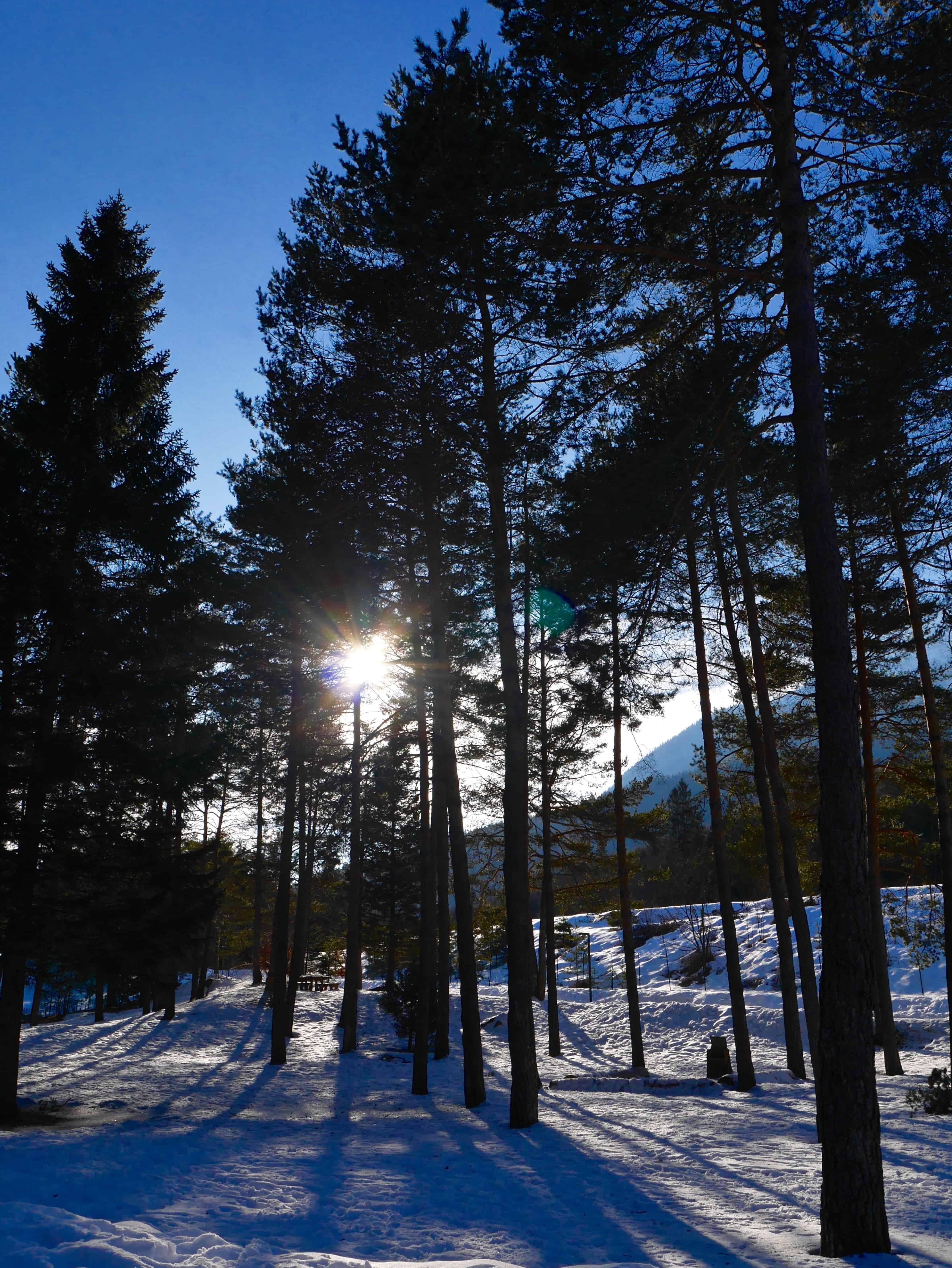 Winter family break in Andalo, Trentino