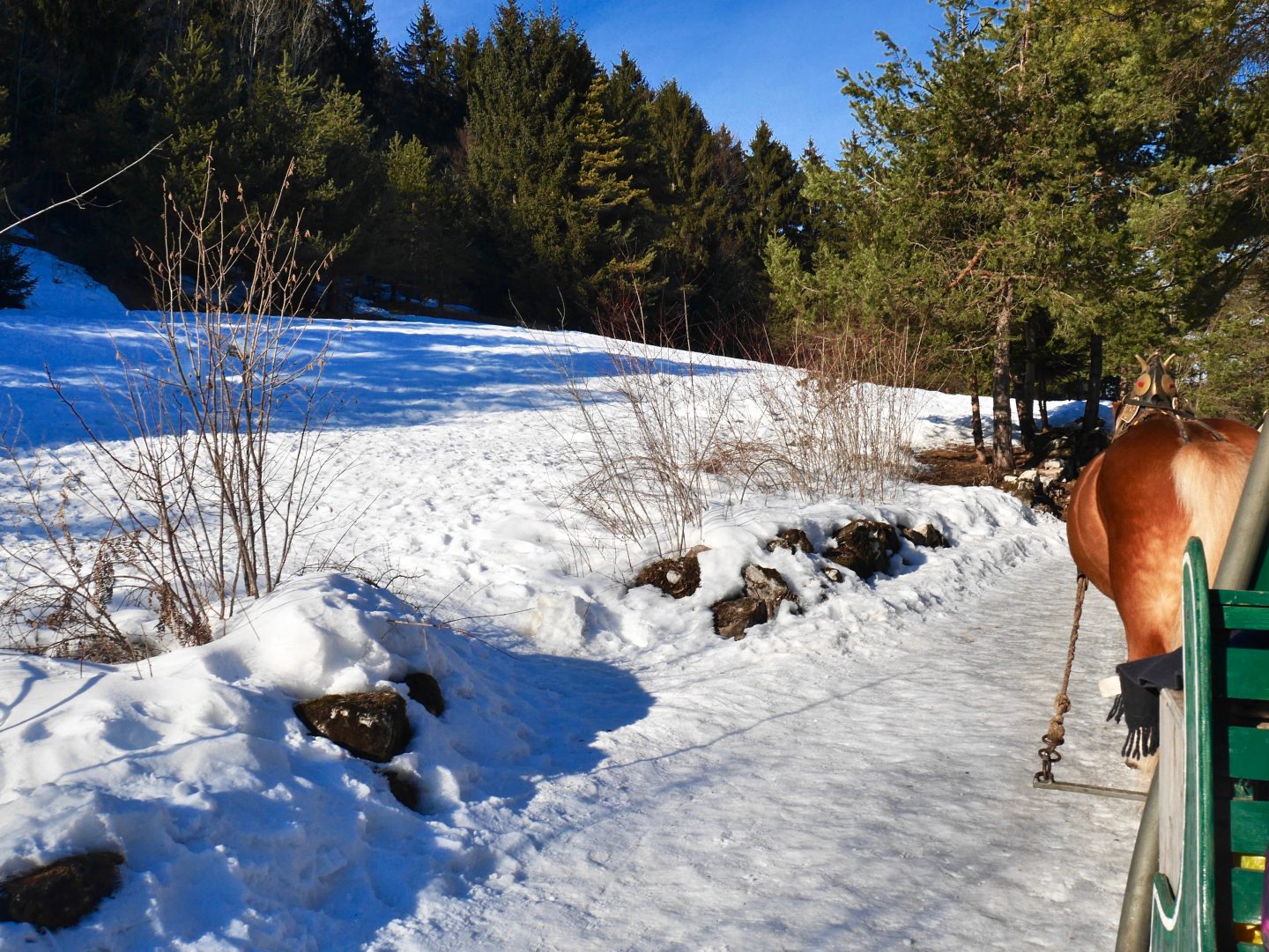 Winter family break in Andalo, Trentino | Winter in Italy
