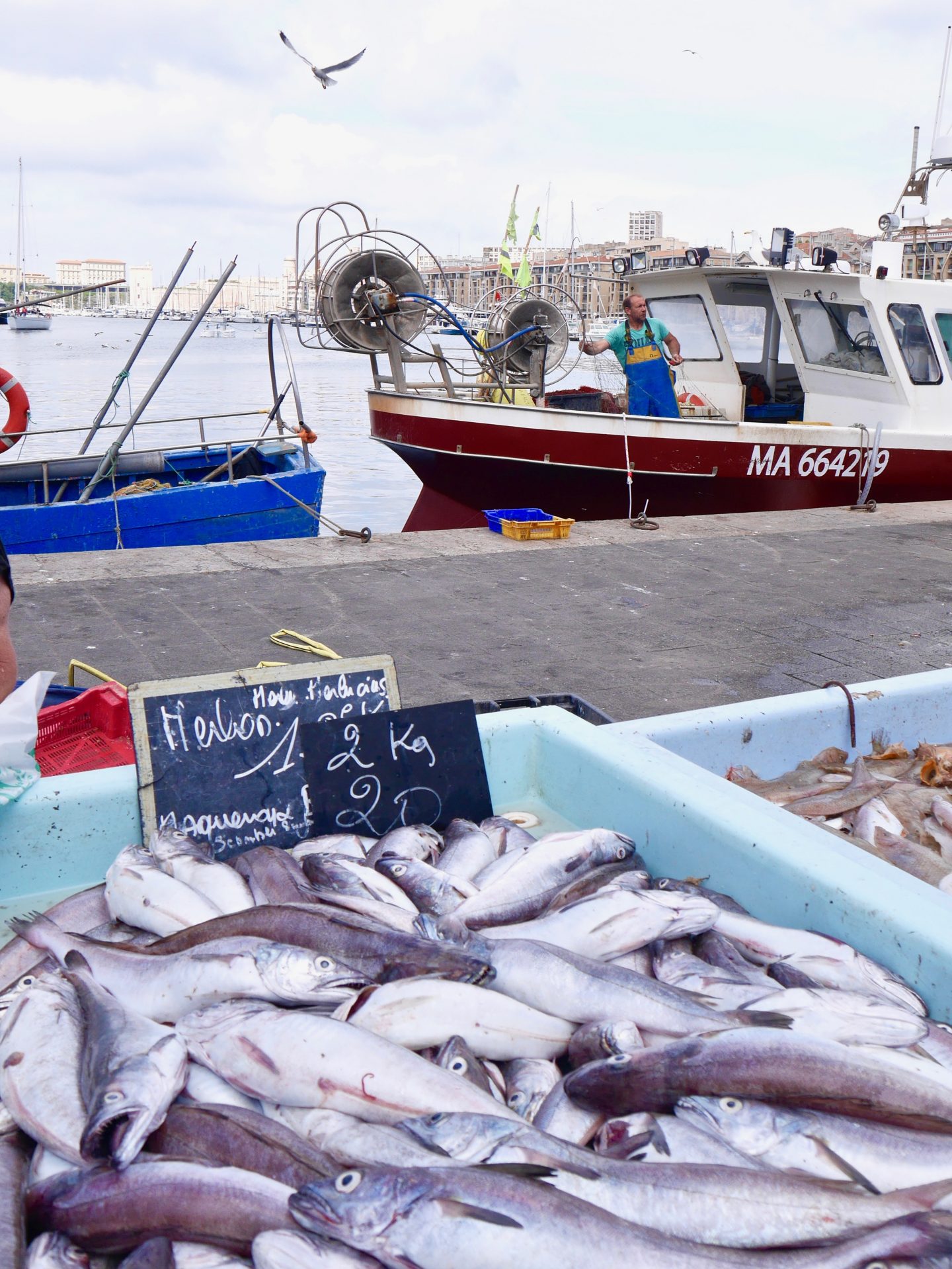 Why you should visit Marseille | Things to do in Marseille