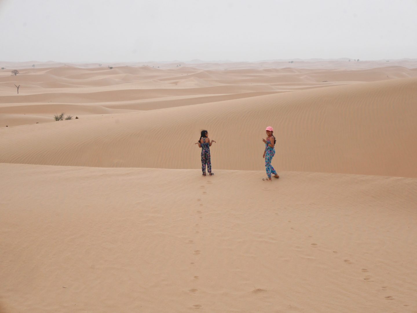 5 Amazing Cultural Highs & things to do In Abu Dhabi