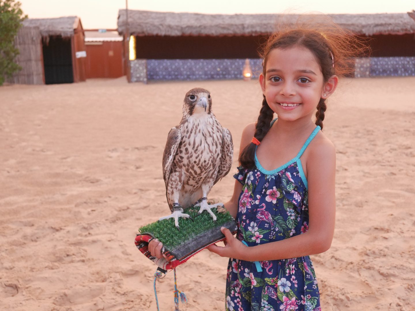 5 Amazing Cultural Highs & things to do In Abu Dhabi