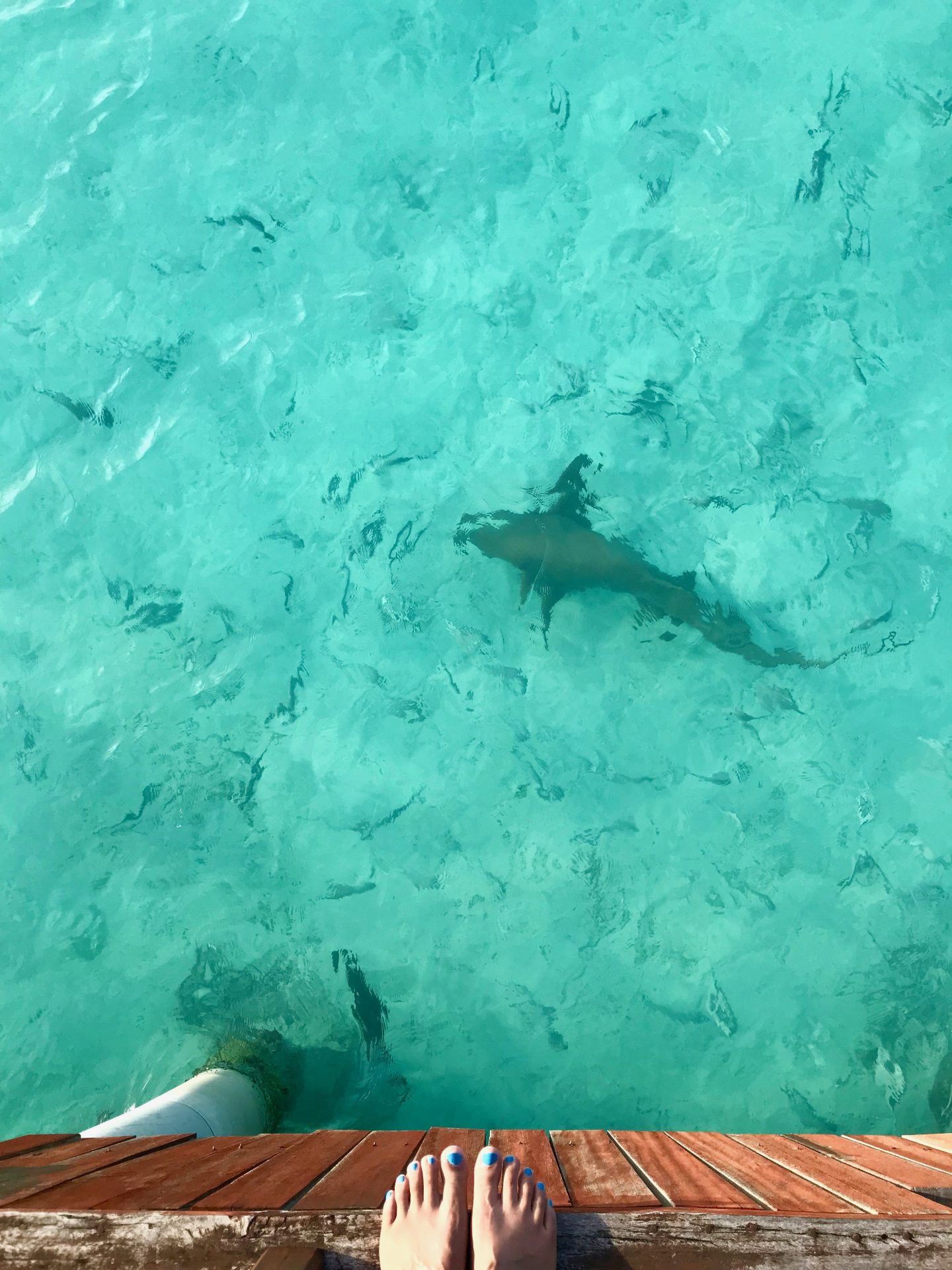 Why the Maldives is an Unforgettable Family Destination | Maldives family holiday