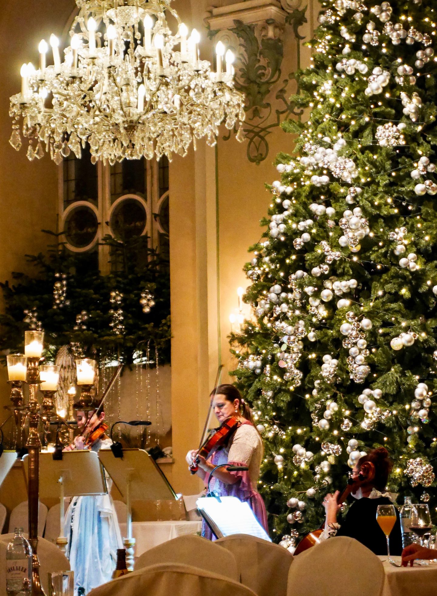 violist along side the christmas tree in the baroque concert hall