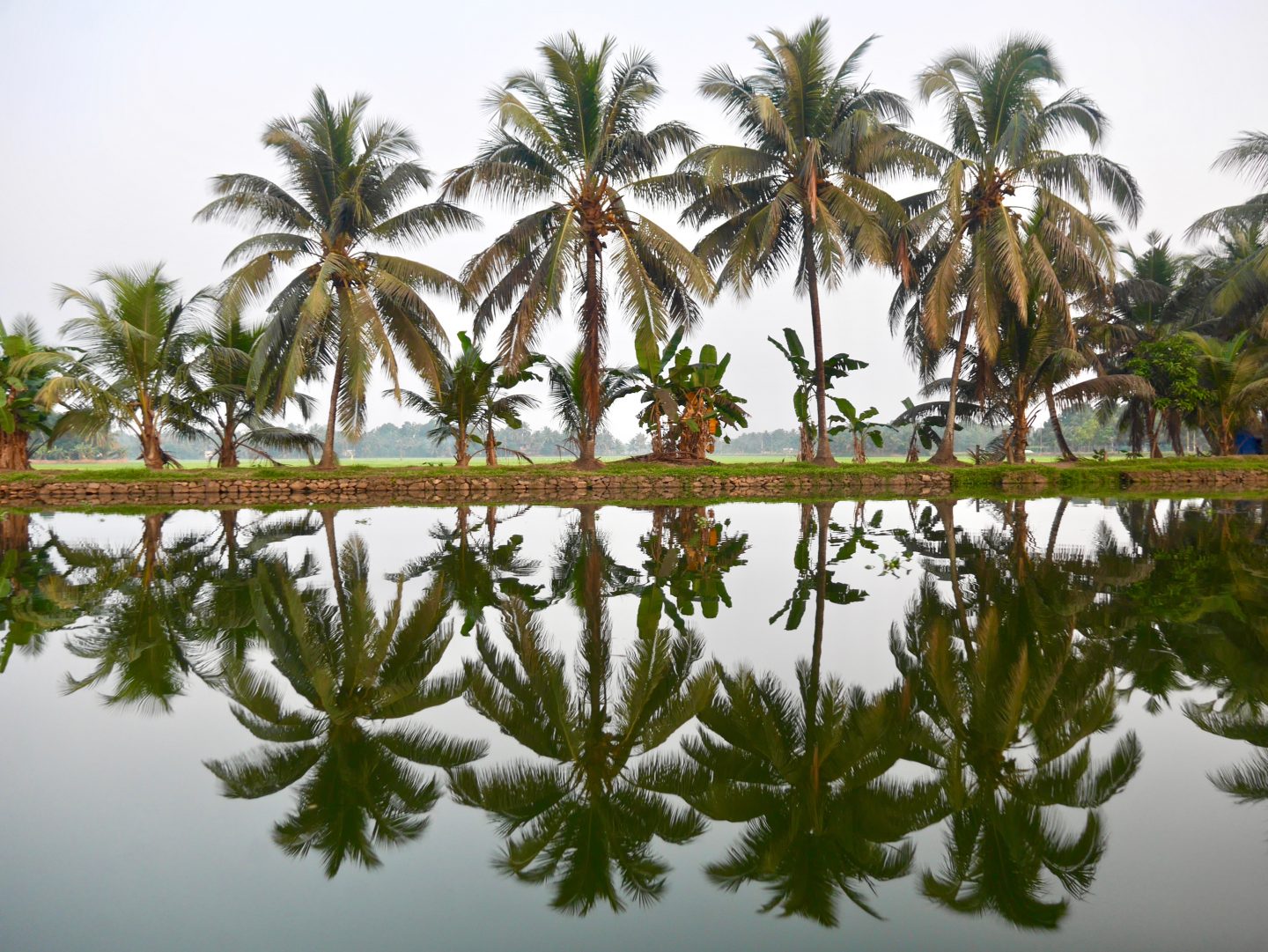 Postcards from the Keralan Backwaters