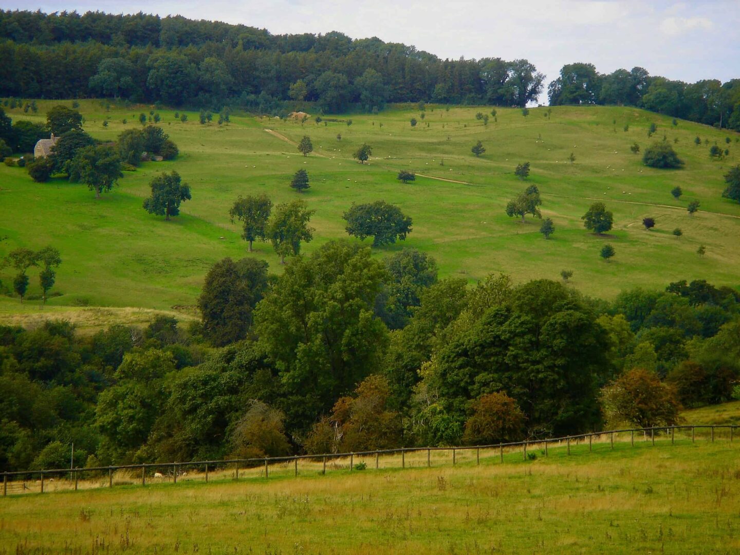 view of the fields of The Cotswolds