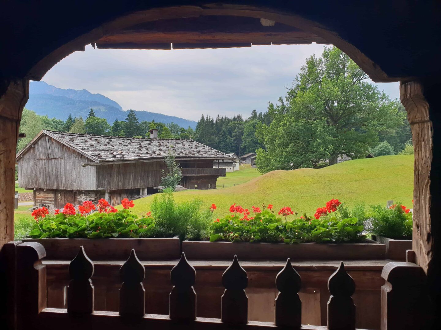 view looking outside onto green fields and timber chalet with poppies in planter 