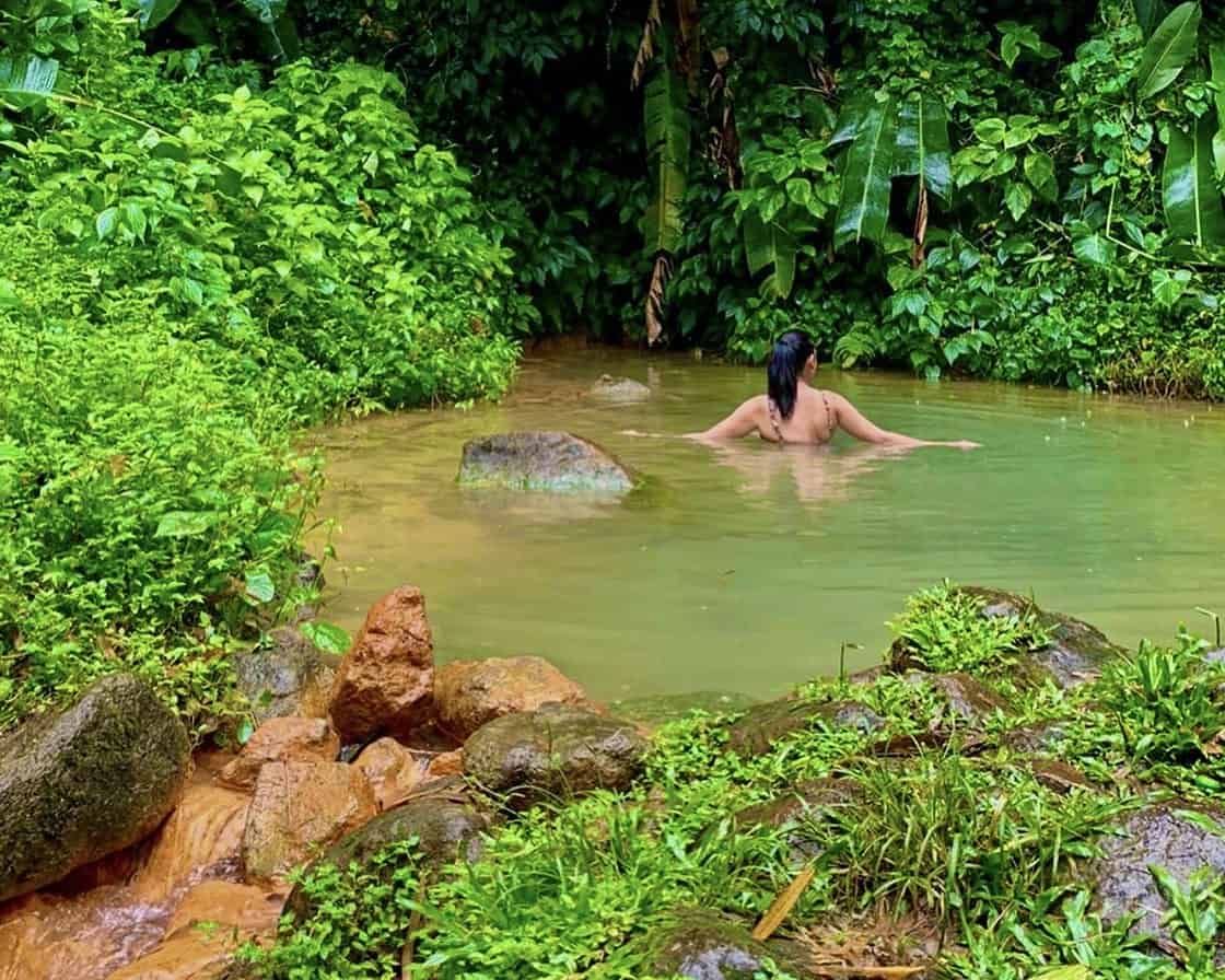 sima swimming in a spring surrounded by green foliage and rocks