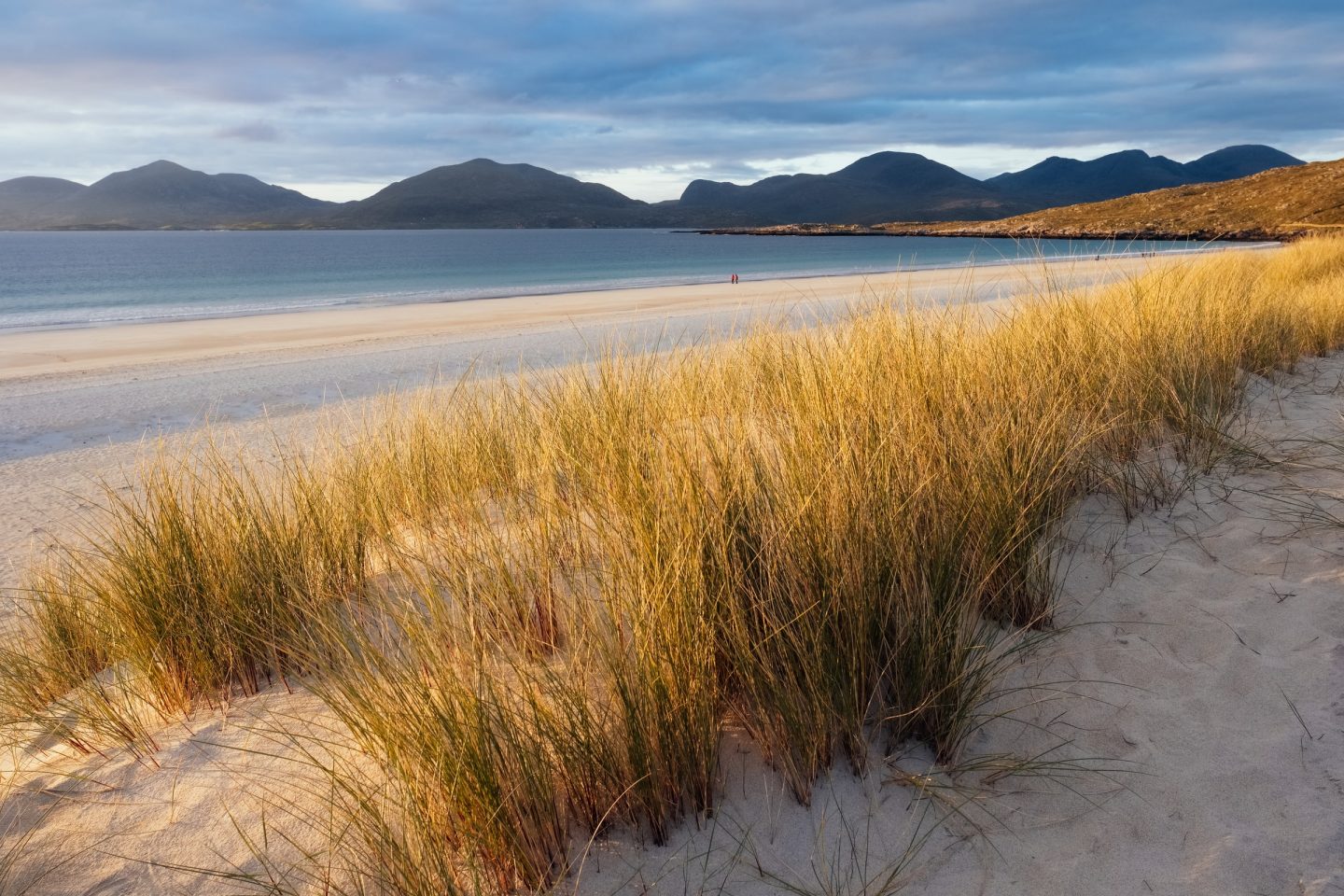 flat beach surrounded by tall grass 
