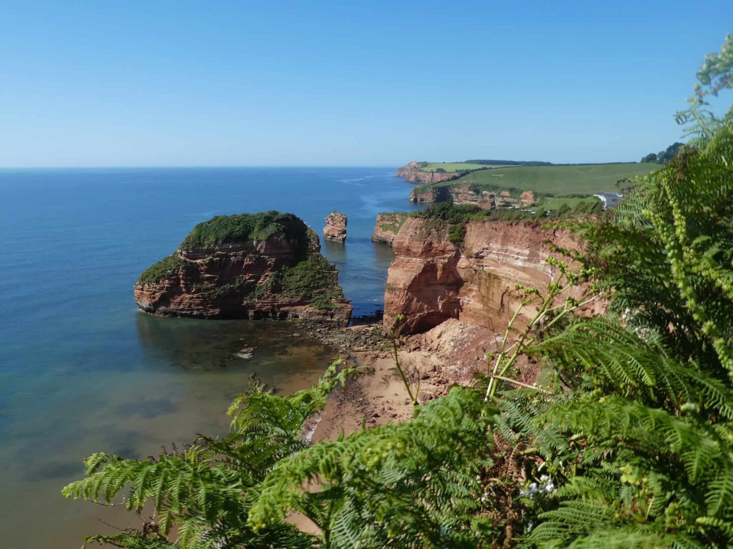 view of the cliffs and green foliage in Devon