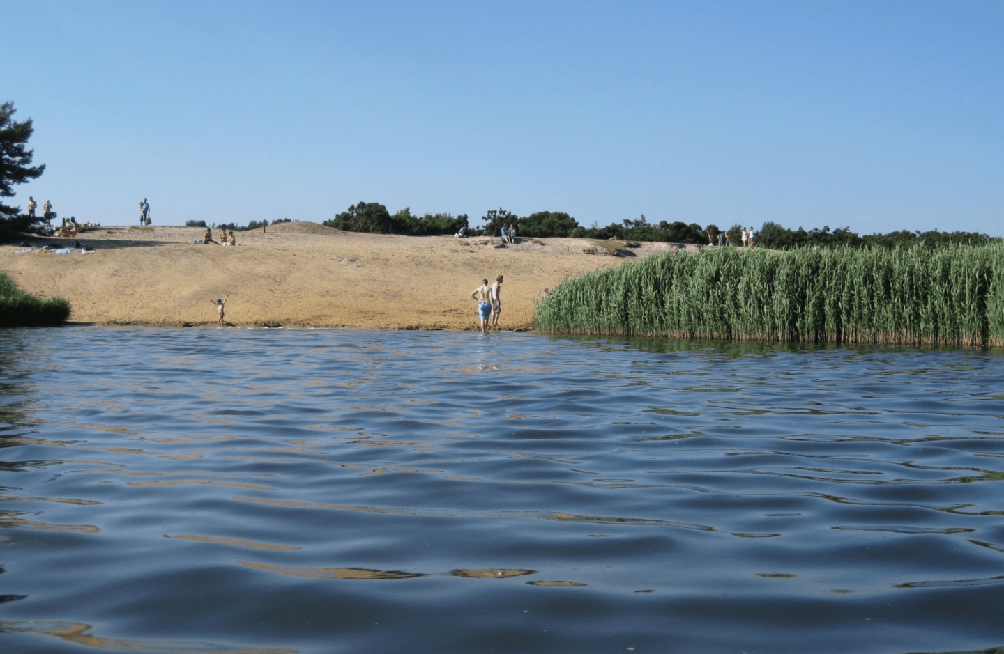 view from the pond looking towards people on the beach and reeds
