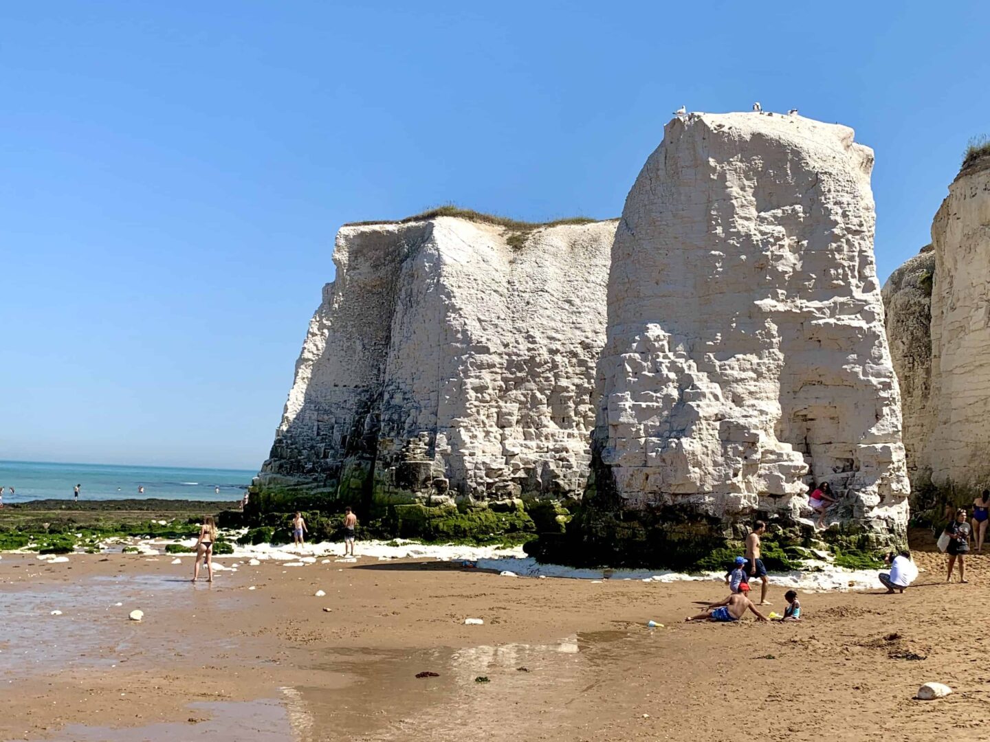 view of the chalk cliffs at Bottany Bay