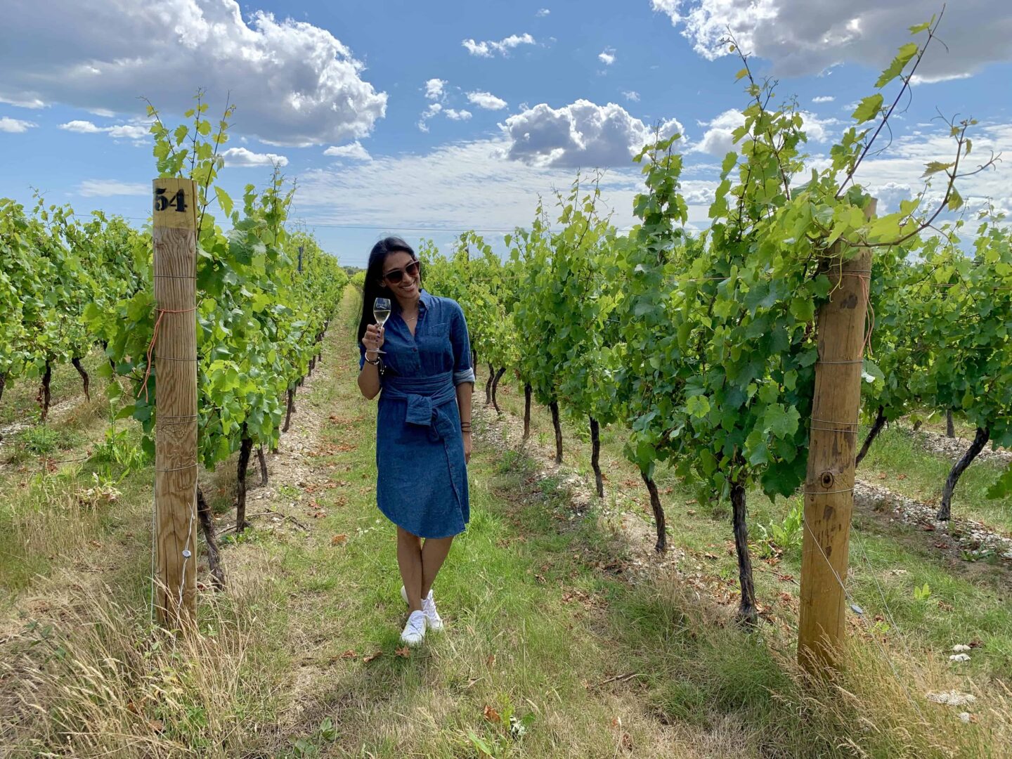 sima drinking wine in the vines of the West Sussex vineyard at Tinwood Estate