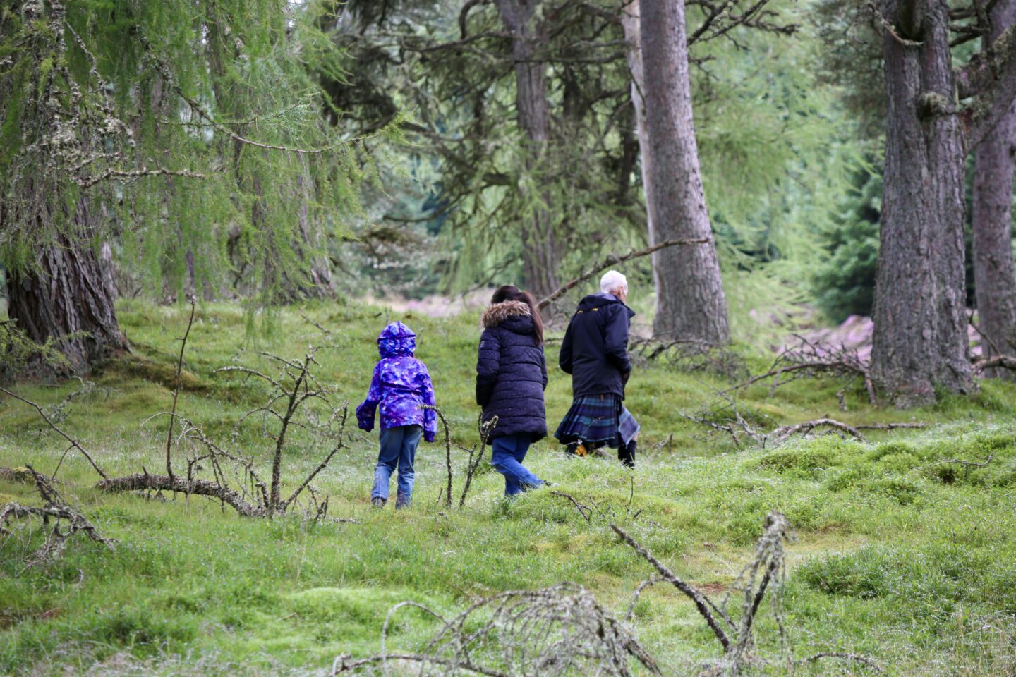 view of two girls following the kilted highland safari guide through the woods