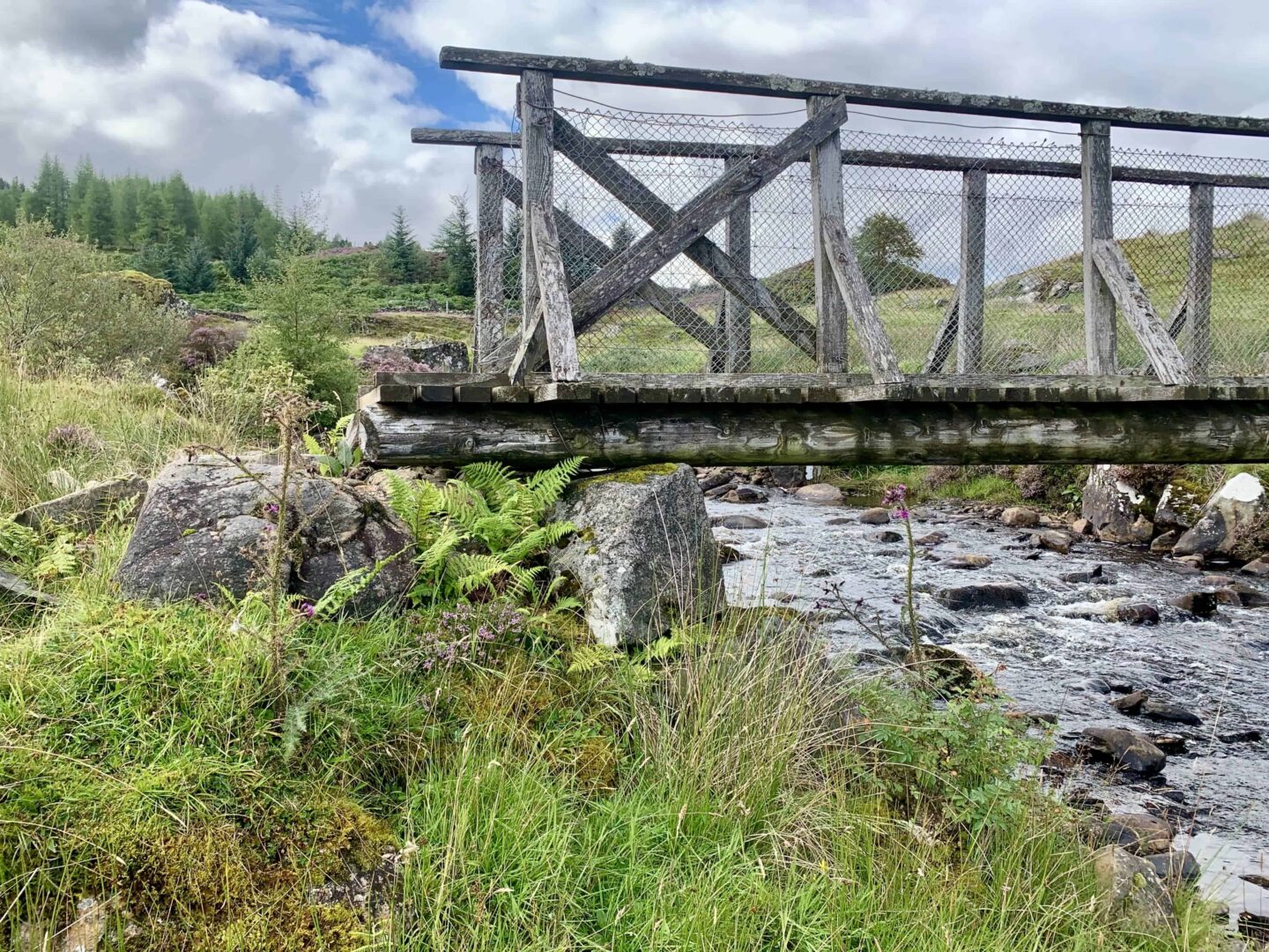 view of a wooden bridge with mesh going over a shallow stone filled stream