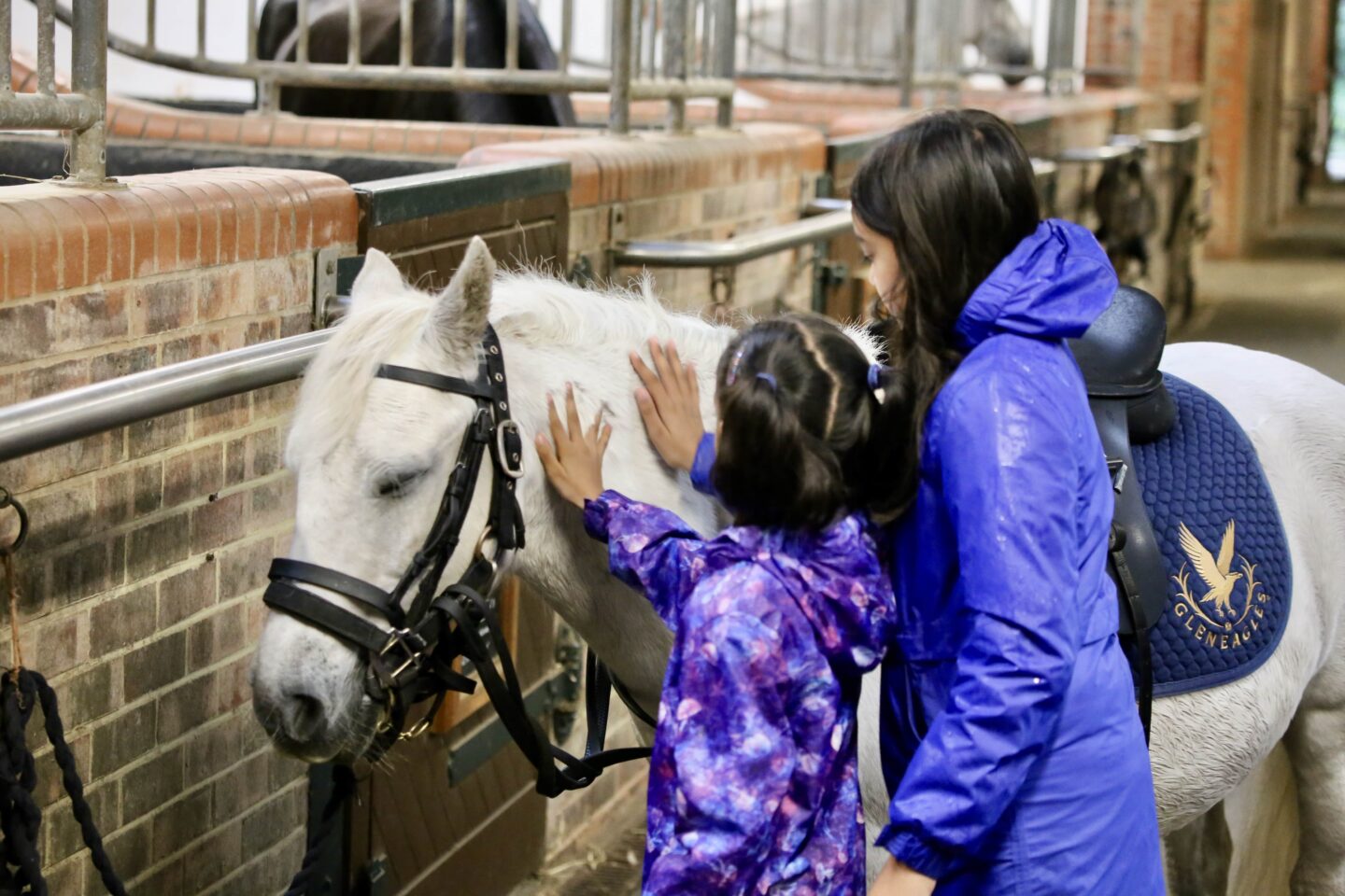 children in purple and blue rain jackets stroking a white pony