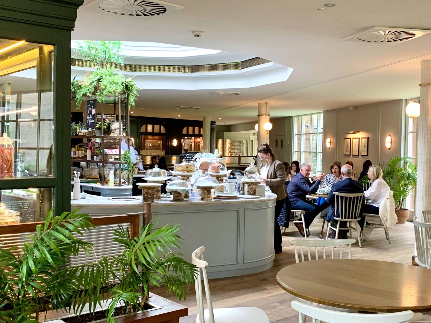 view of the garden cafe with egg blue chairs, glass ceiling above the counter and green foliage 